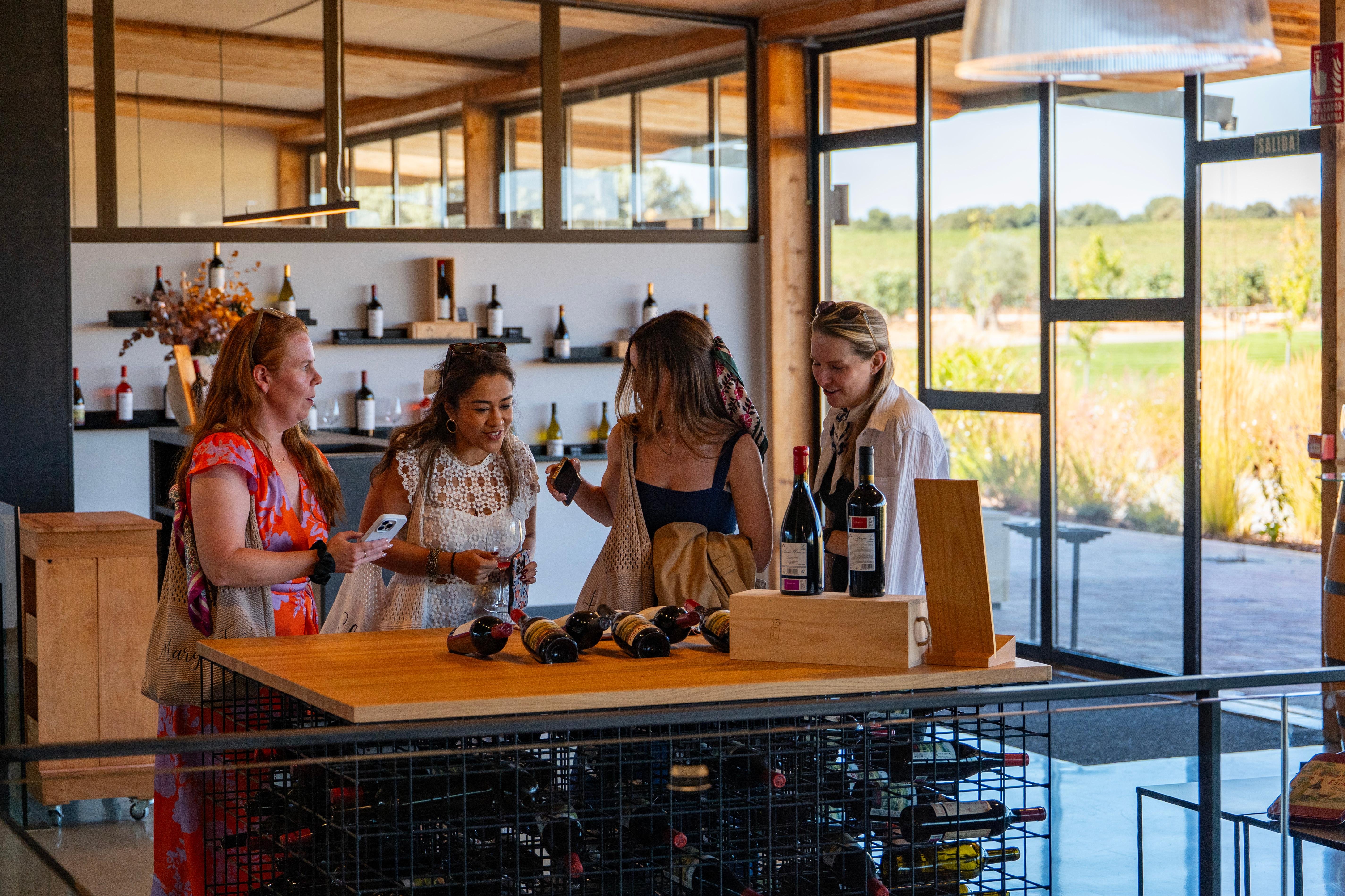 Ribera del Duero: Full-Day Wine Tour with 3 Wineries & Tastings