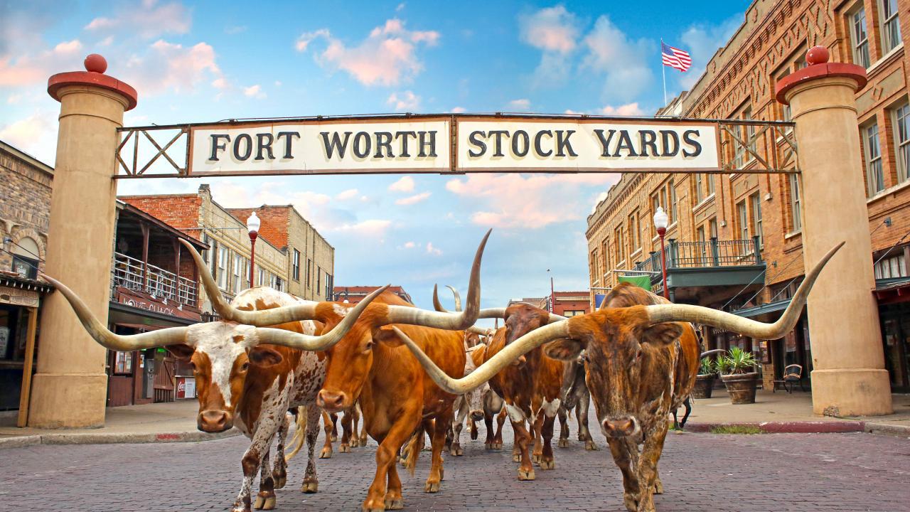 Fort Worth: Heritage and Landmarks Tour 70 MIN OR 3 HOURS - 2026 (Verified Reviews)