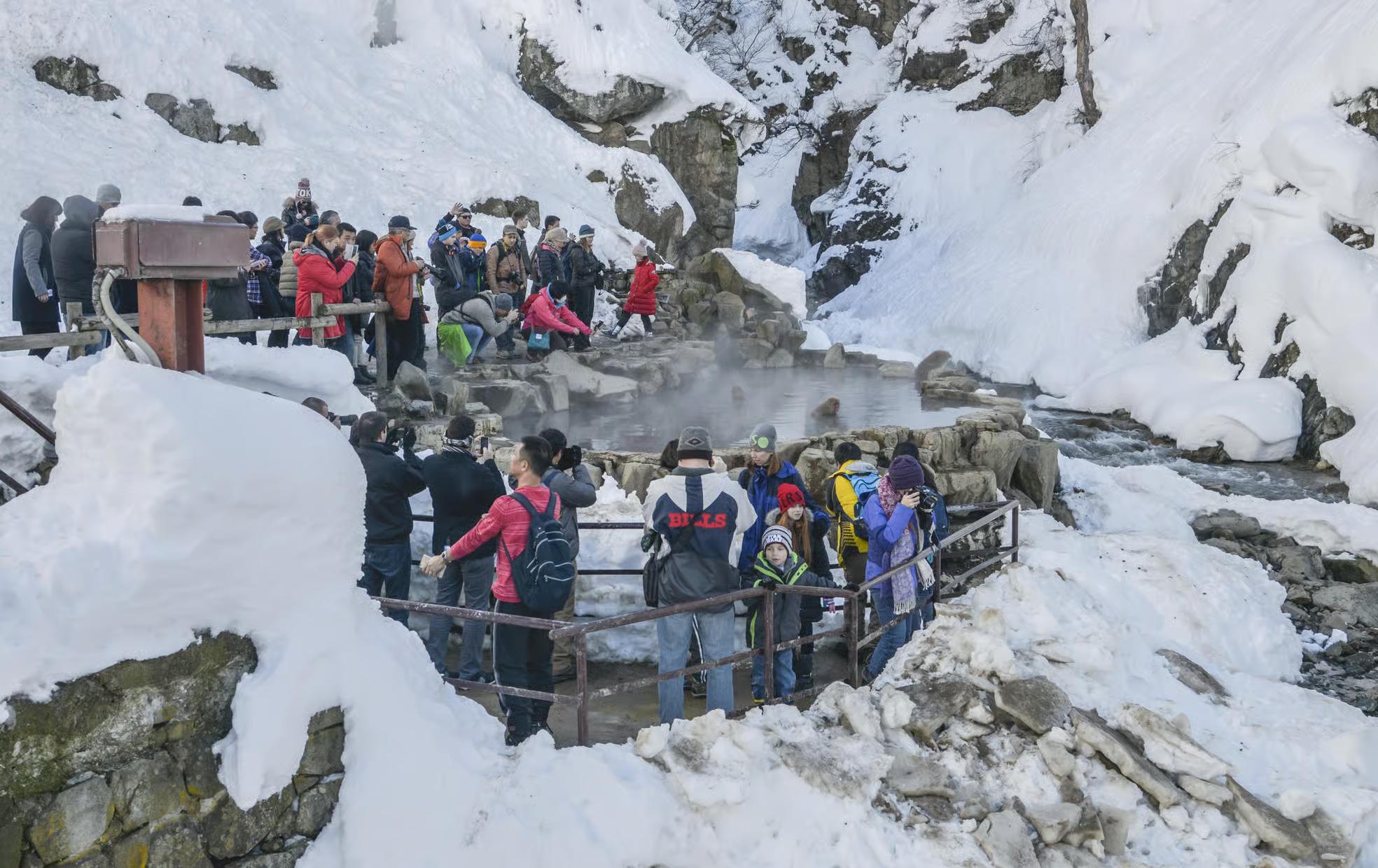 Nagano Snow Monkey Private Day Tour from Tokyo