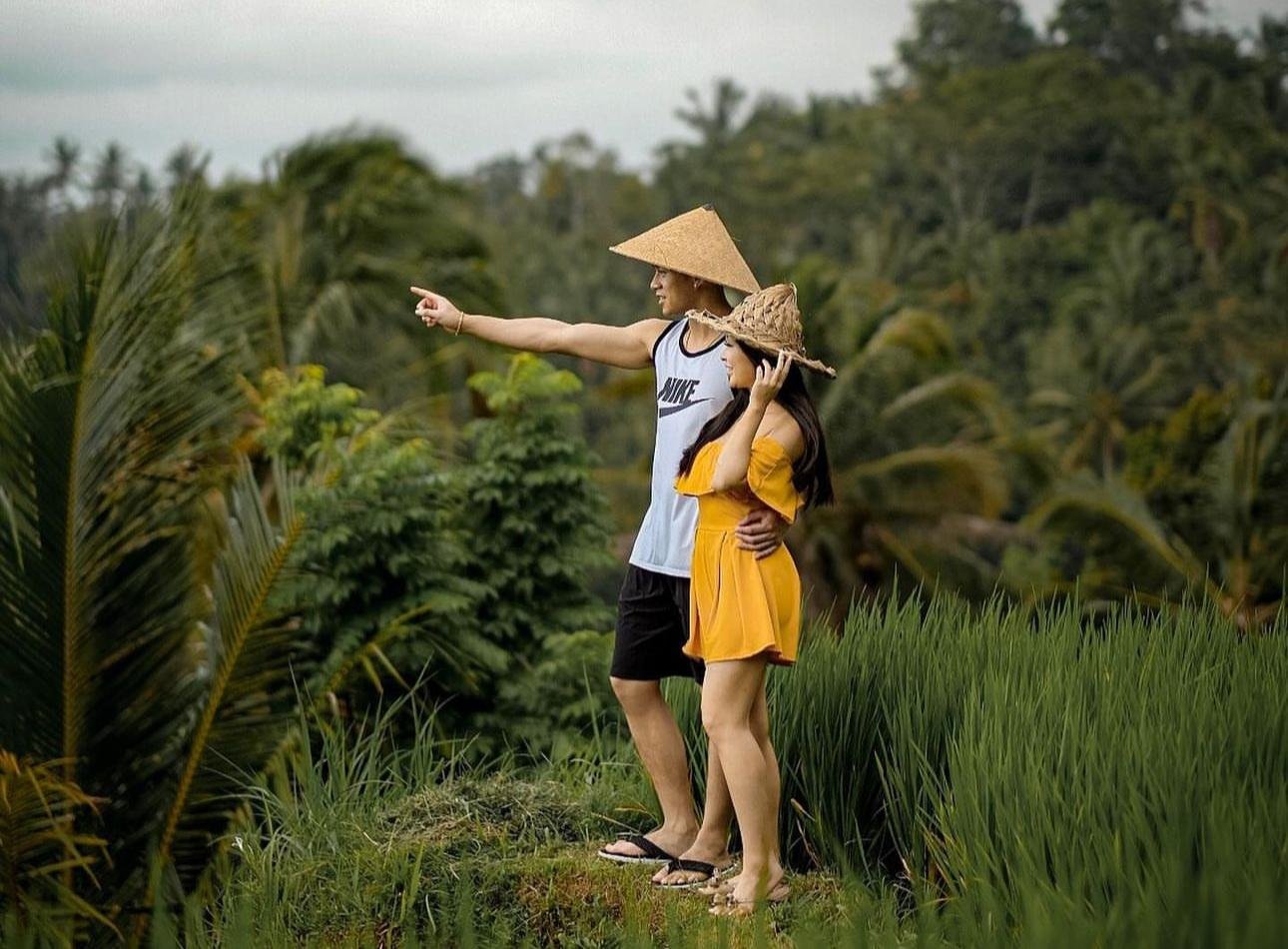 Bali Highlights: Ubud Waterfalls, Monkey Forest & Rice Terraces