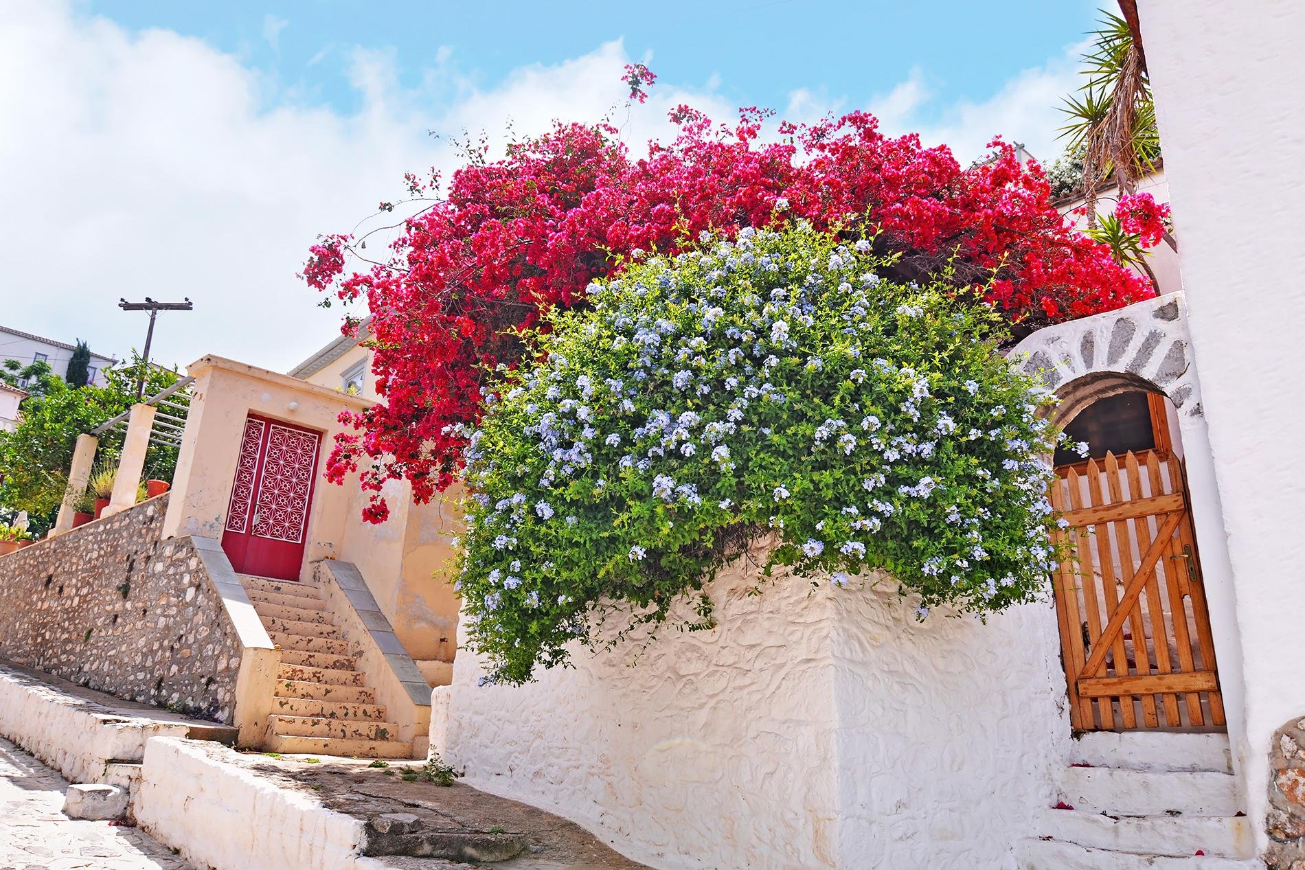 Greek island tour photo — image 17