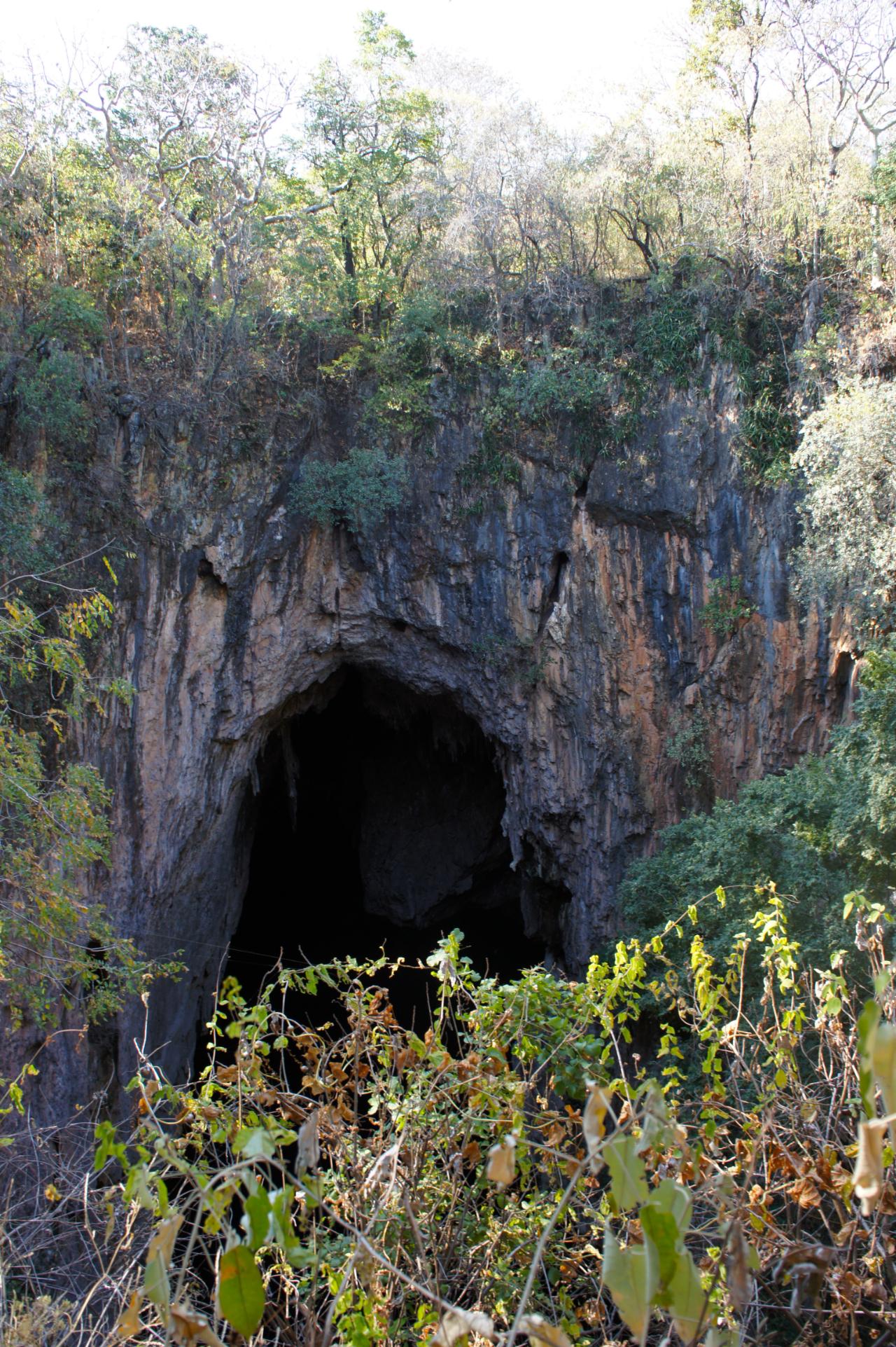 Chinhoyi Caves & Lion Encounter Day Tour from Harare