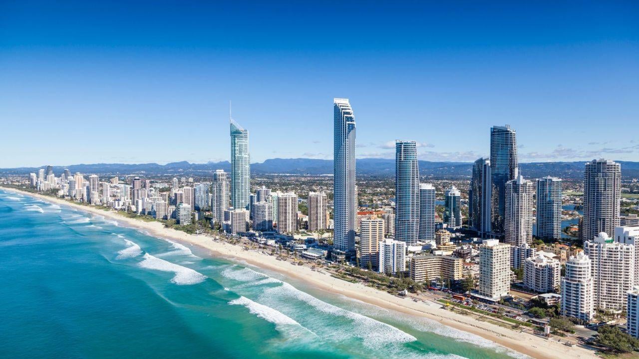 Gold Coast Discovery: Wildlife, Beaches & Rainforest Day Trip