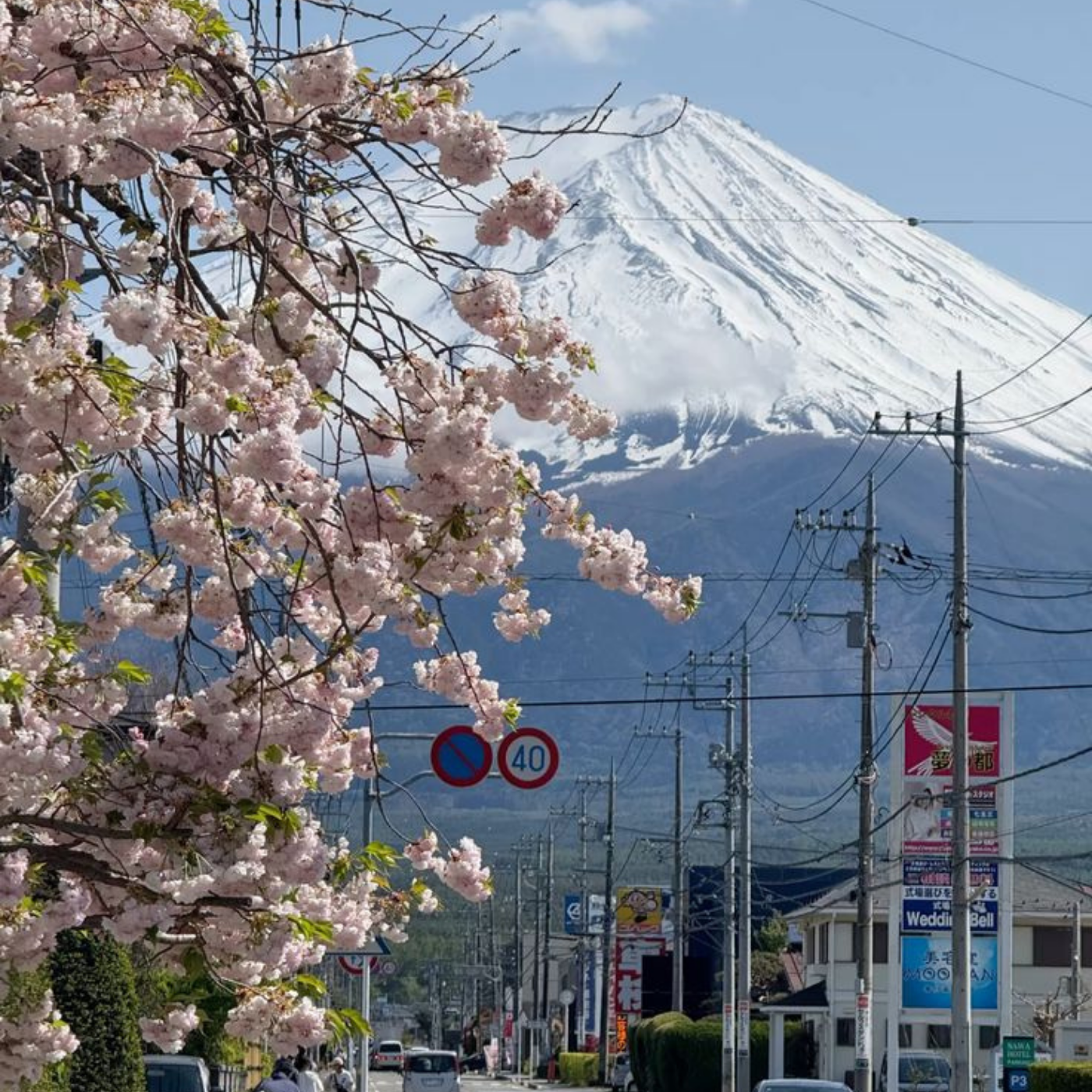 Private Mount Fuji & Hakone Day Tour from Tokyo