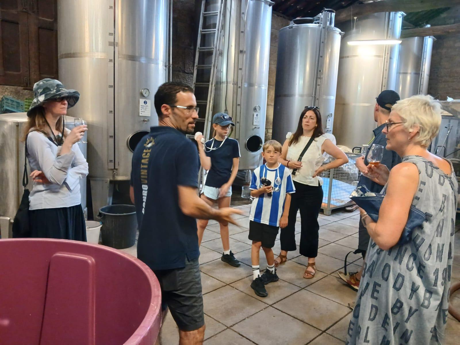 Douro Valley Small-Group Wine & Boat Tour from Porto