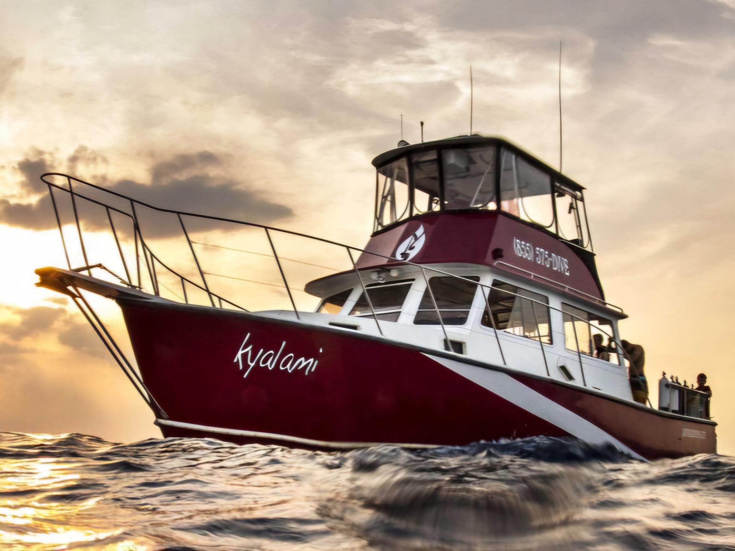 Intracoastal Waterway Cruise to Palm Beach & Peanut Island