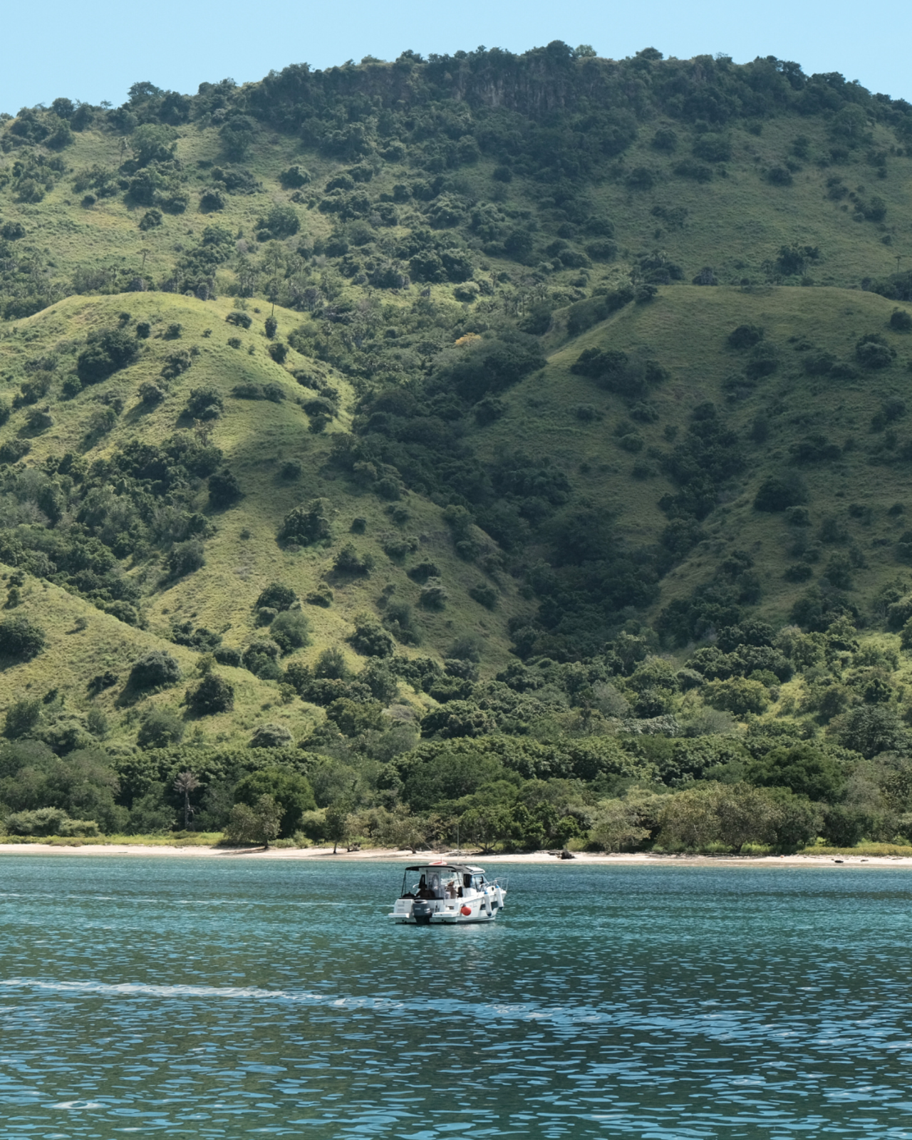 Komodo 6-Island Private Yacht Day Trip with Manta Ray Snorkeling