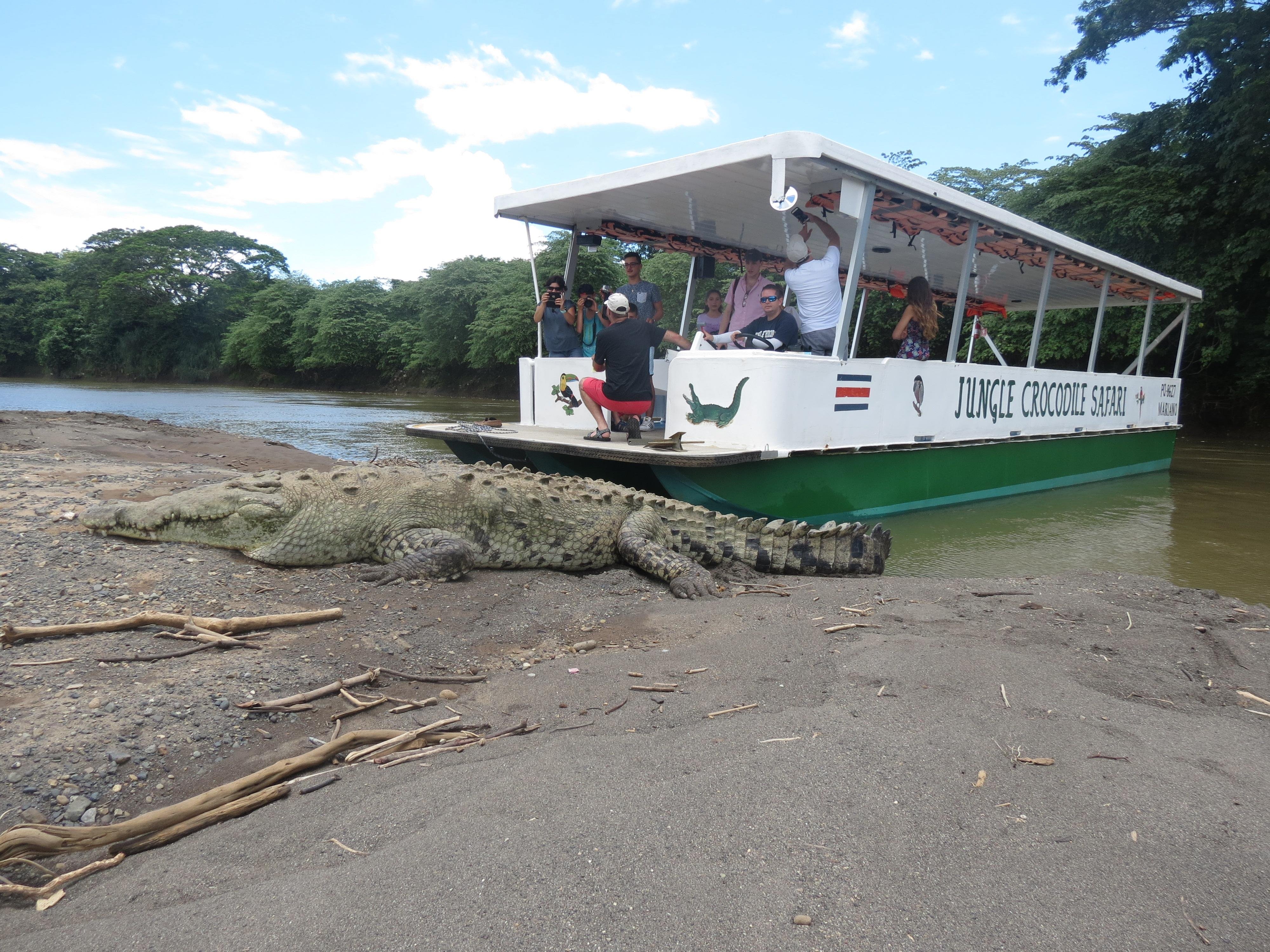 Tárcoles River Wildlife Safari & Crocodile Watching