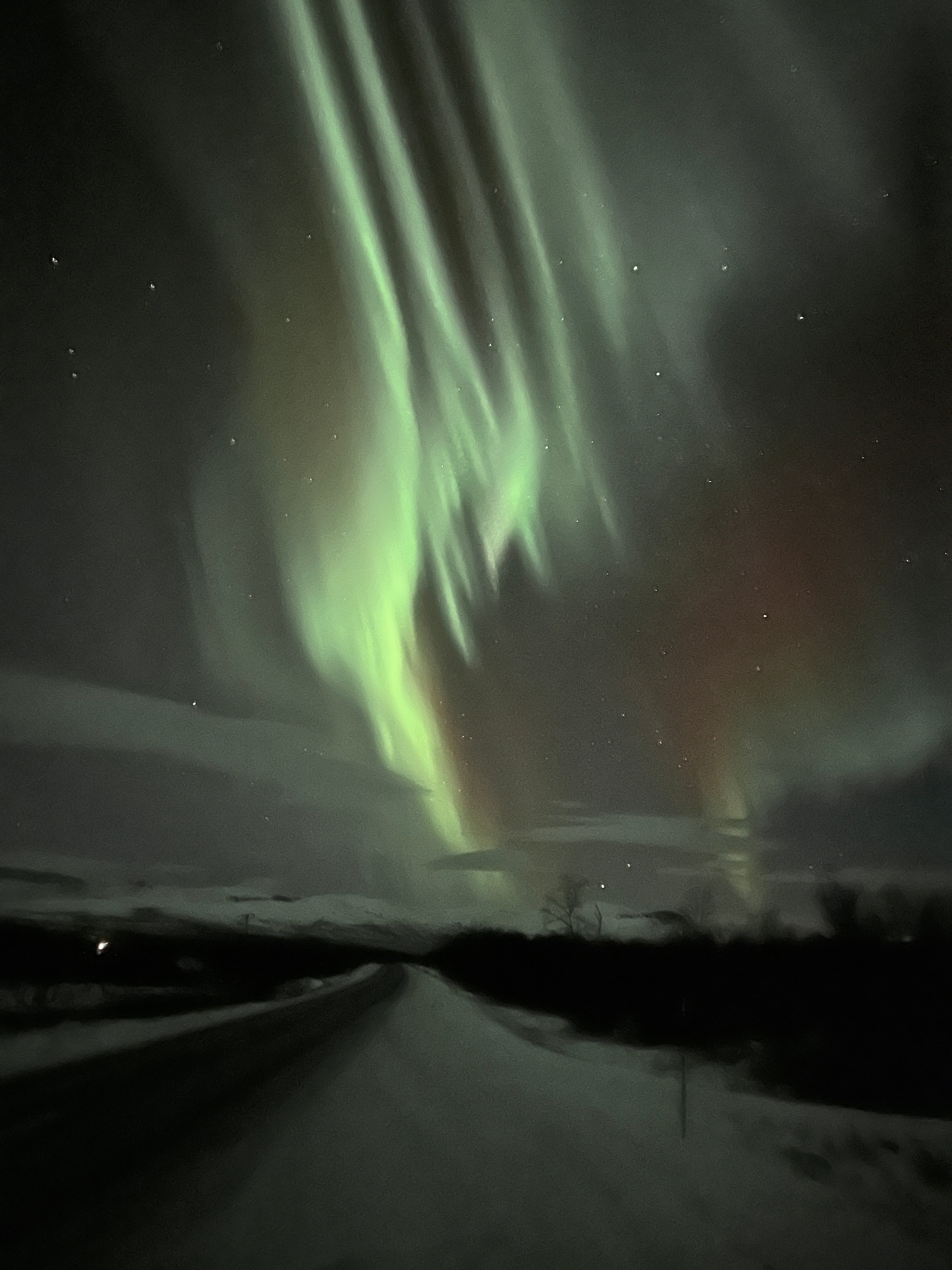Northern lights tour, image 12