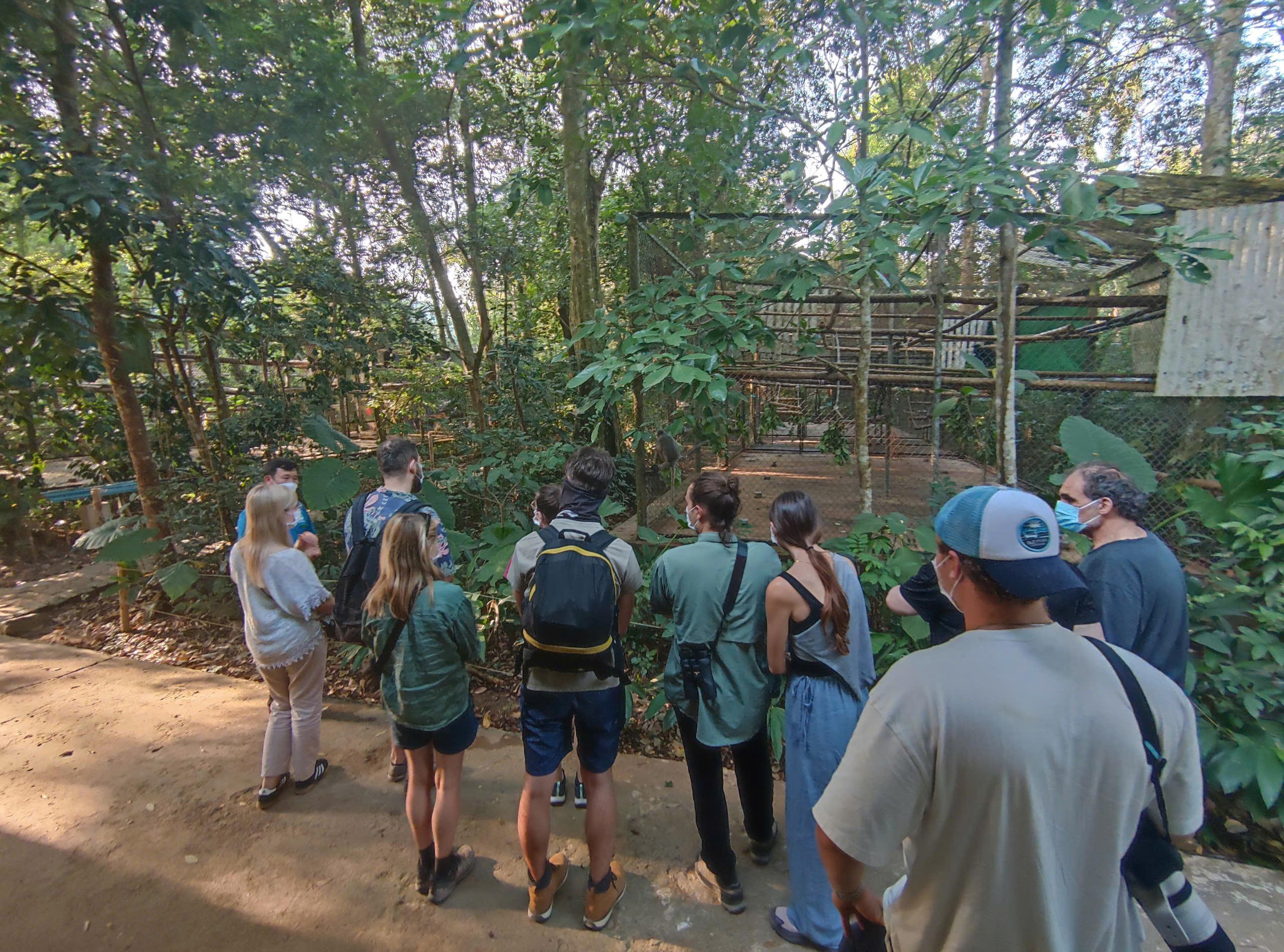 Cuc Phuong National Park: Wildlife, Cave & Jungle Trek Day Tour