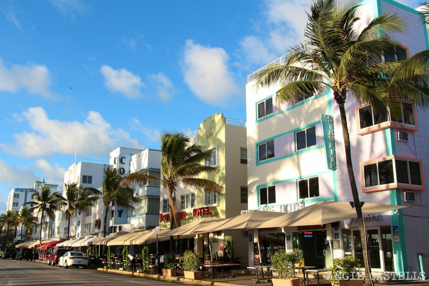 Miami Combo: Everglades Airboat, City Tour & Bay Cruise