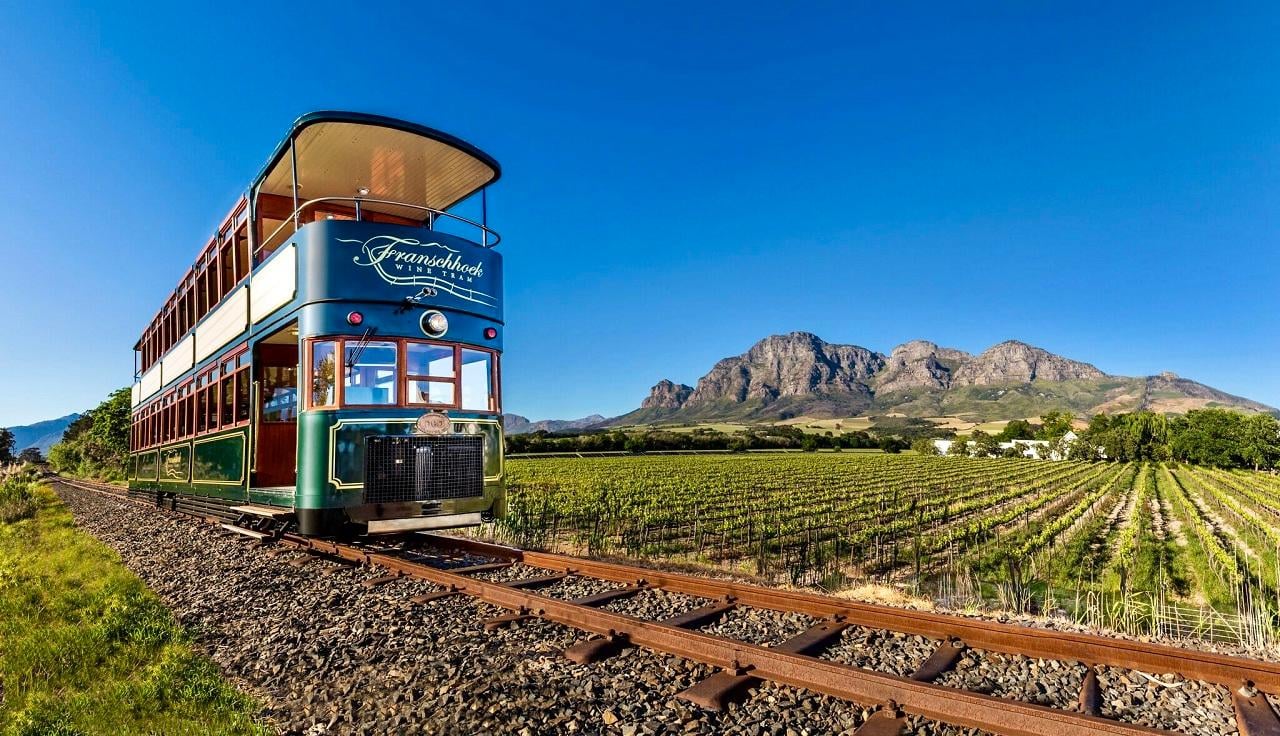 Cape Winelands Full-Day Tour: Stellenbosch, Franschhoek & Paarl