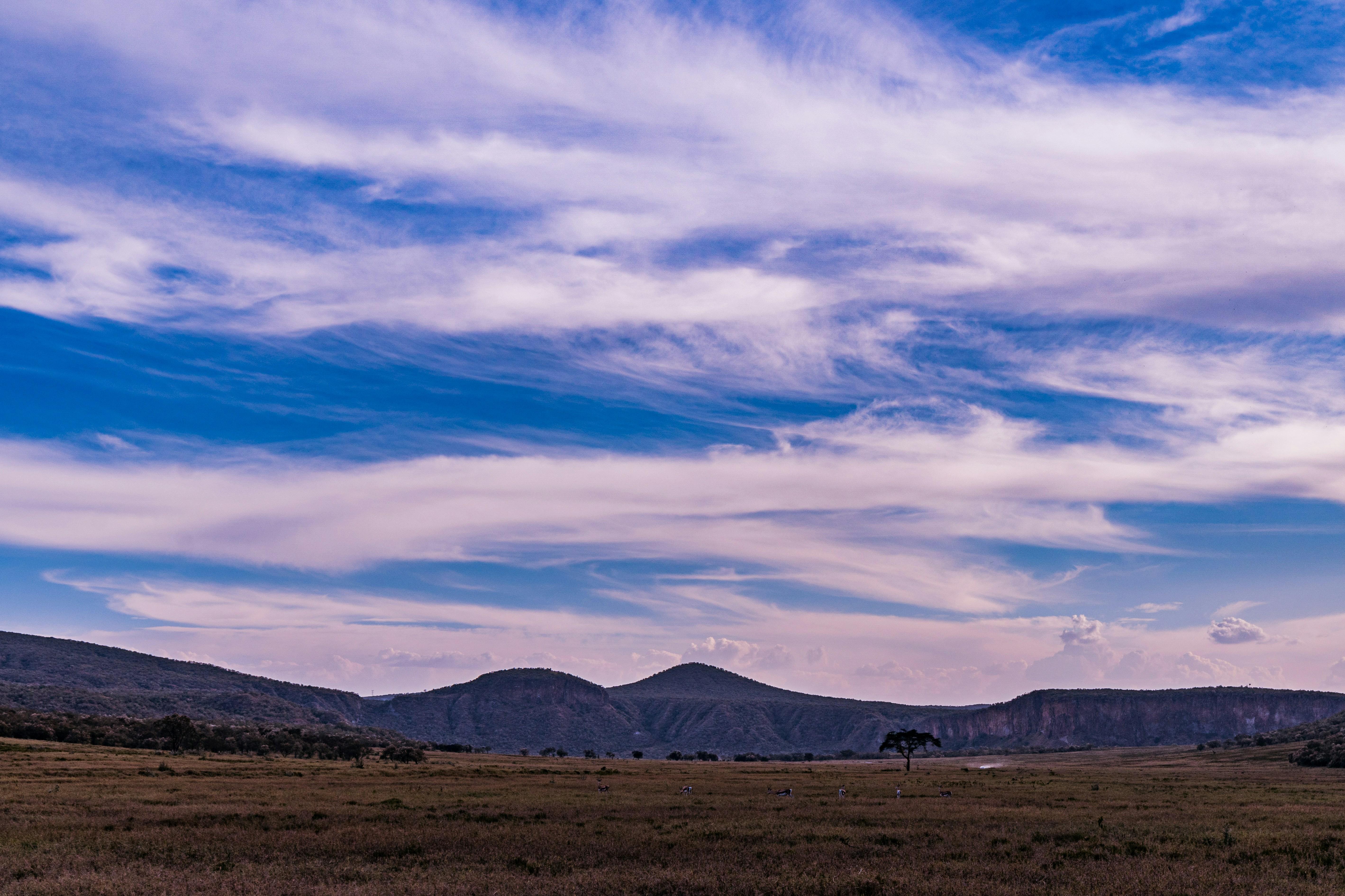 5-Day Private Kenya Safari: Maasai Mara, Nakuru & Naivasha
