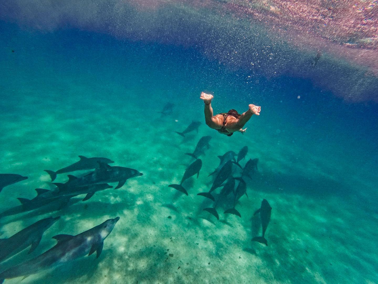 Kizimkazi Dolphin Tour – Zanzibar