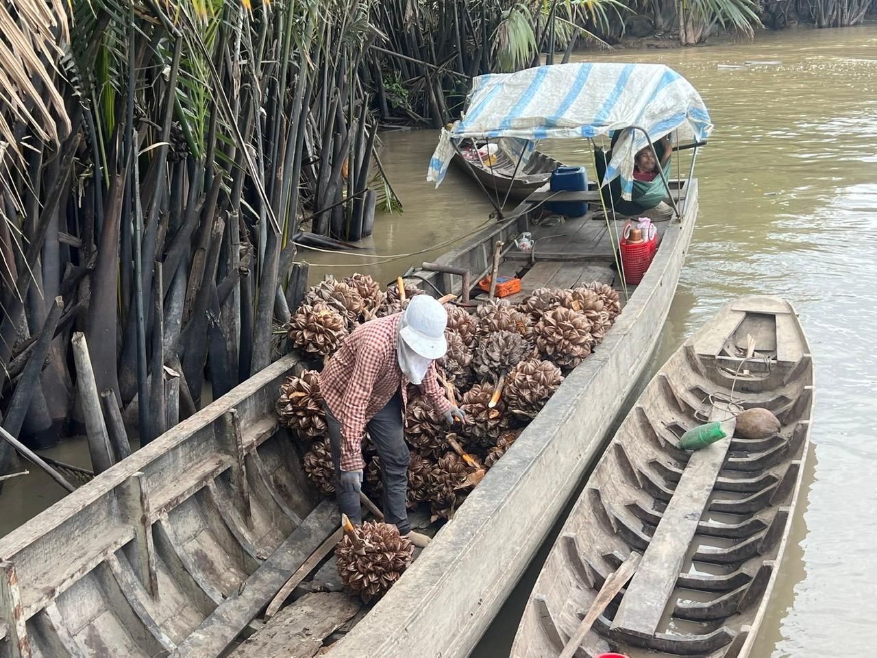 Mekong Delta VIP Day Tour from Ho Chi Minh City by Luxury Limousine