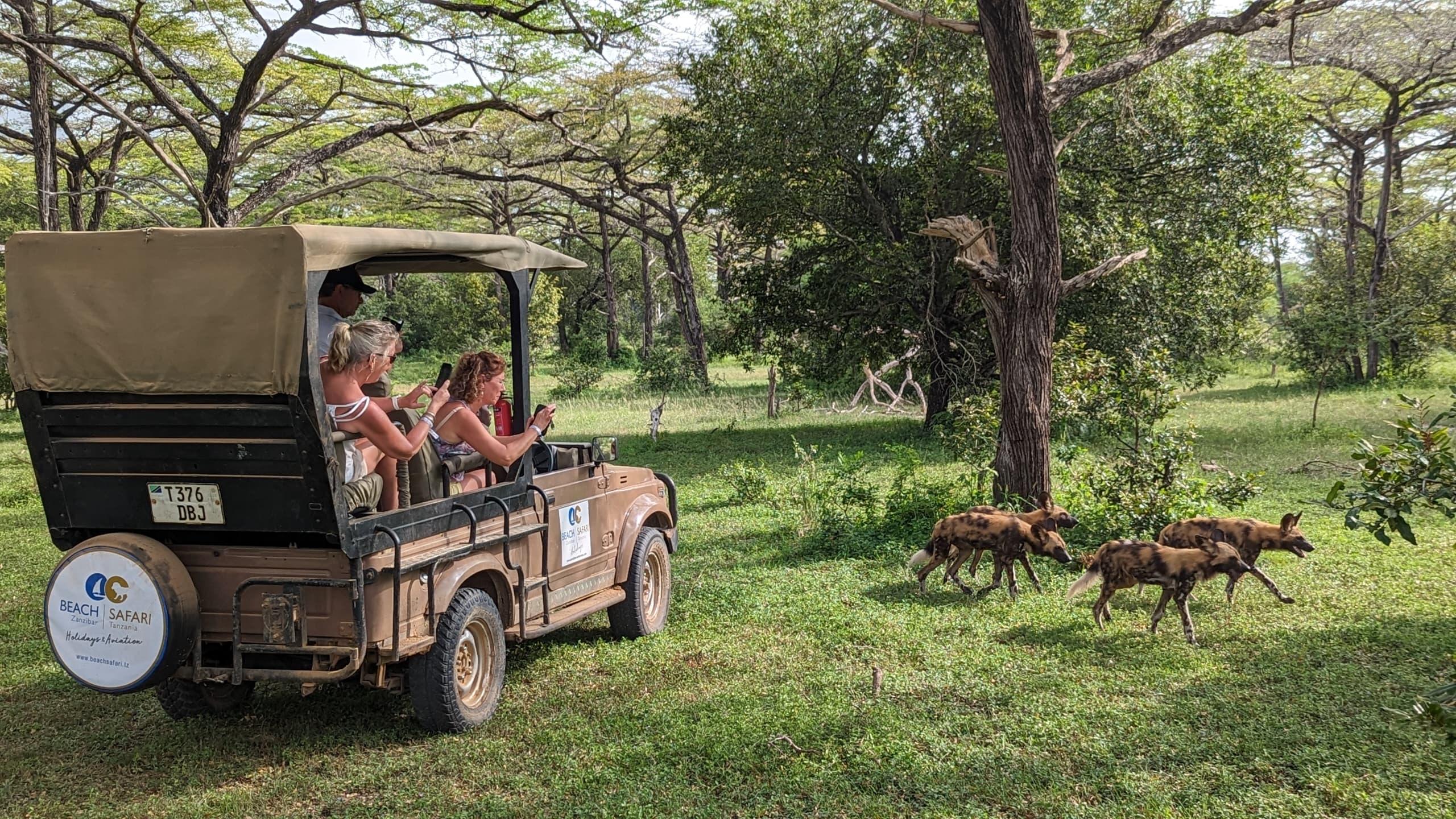 Zanzibar to Selous: Full-Day Safari with Bush Lunch (+ 2-Day Option)