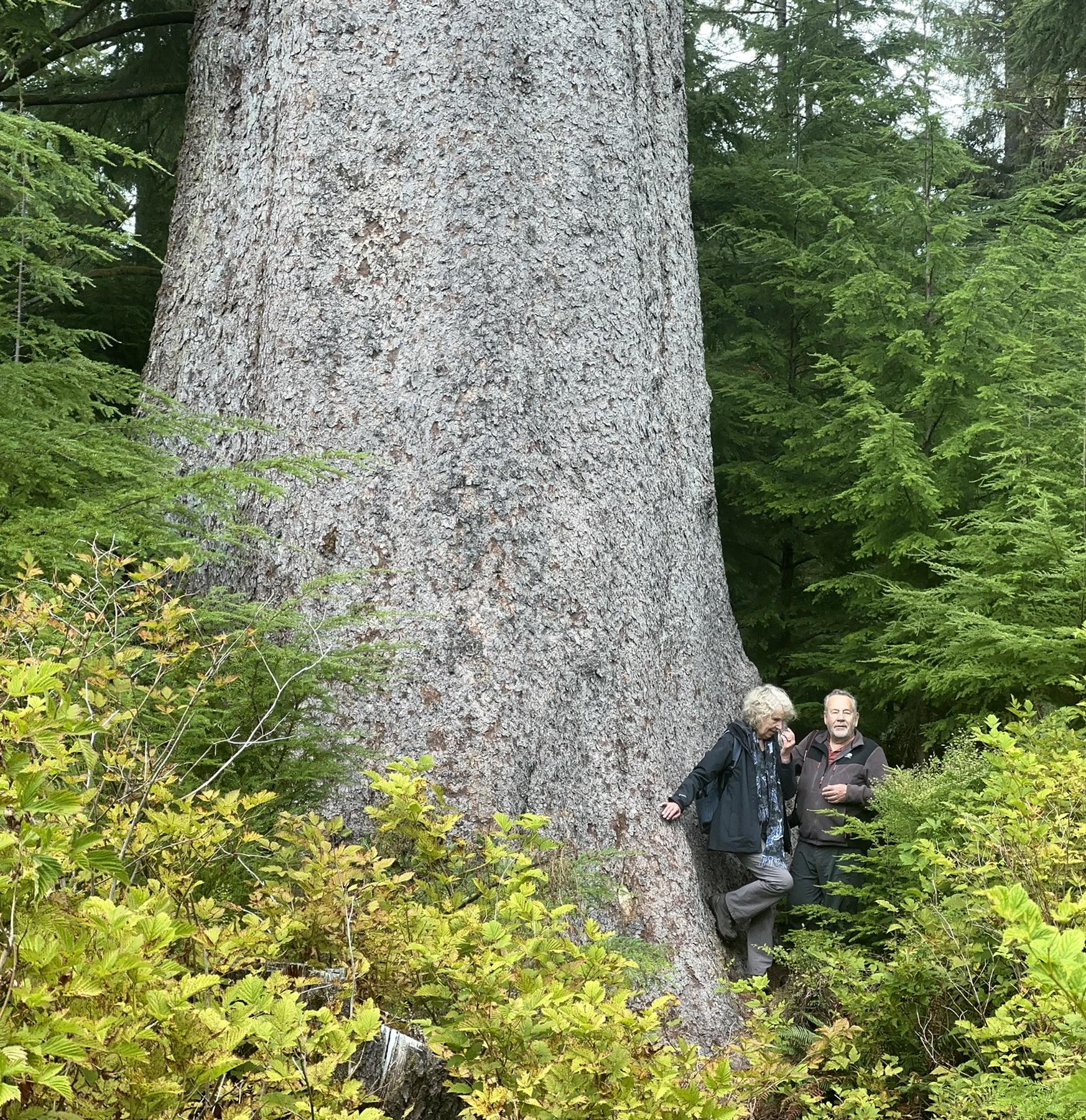 San Josef Bay Guided Hike & Cape Scott Scenic Drive
