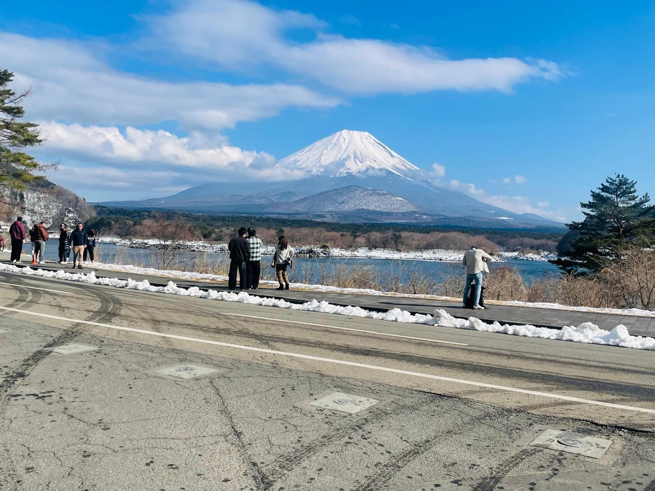 Mount Fuji Private Day Tour from Tokyo with English-Speaking Driver