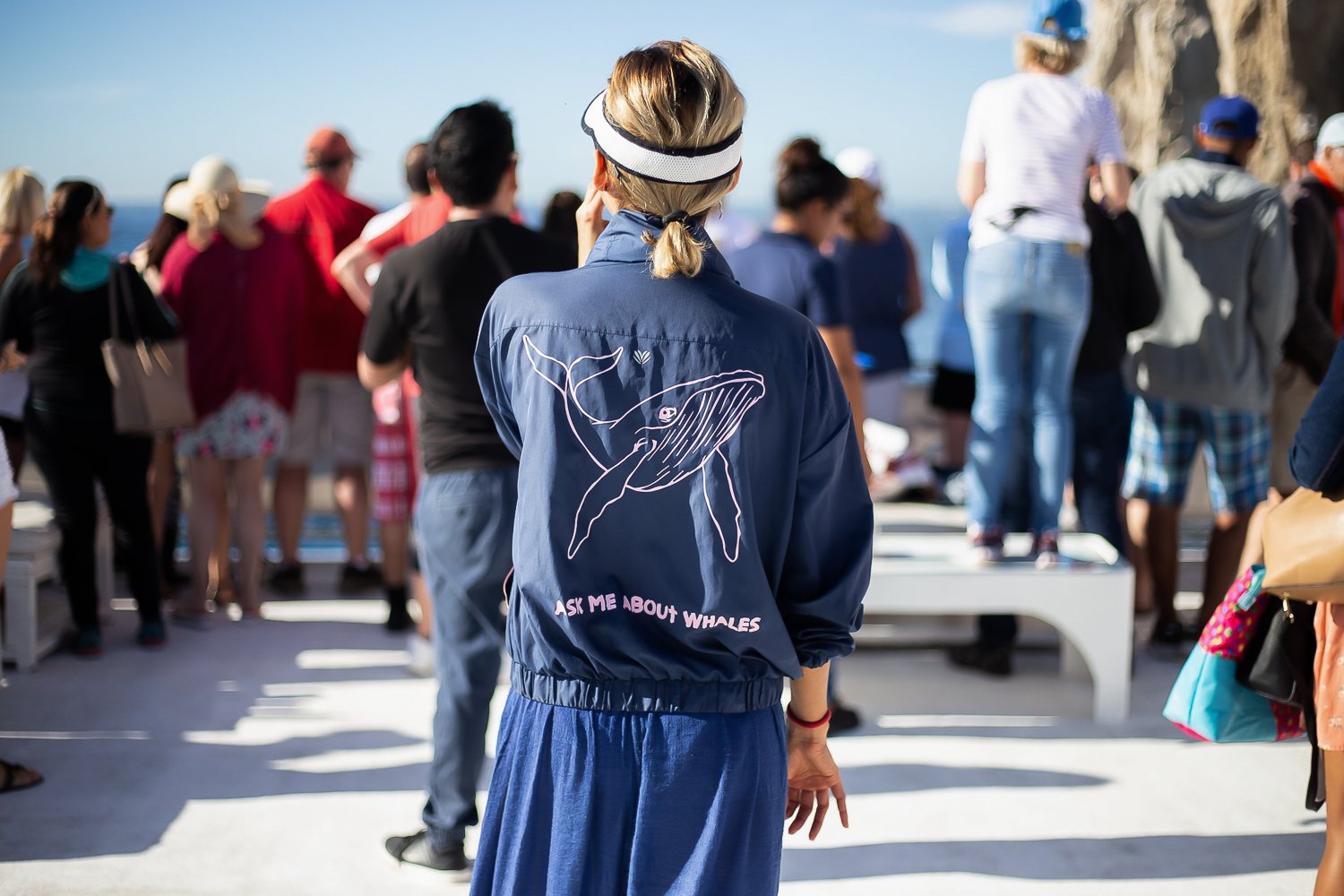 Cabo San Lucas Whale Watching Breakfast Cruise