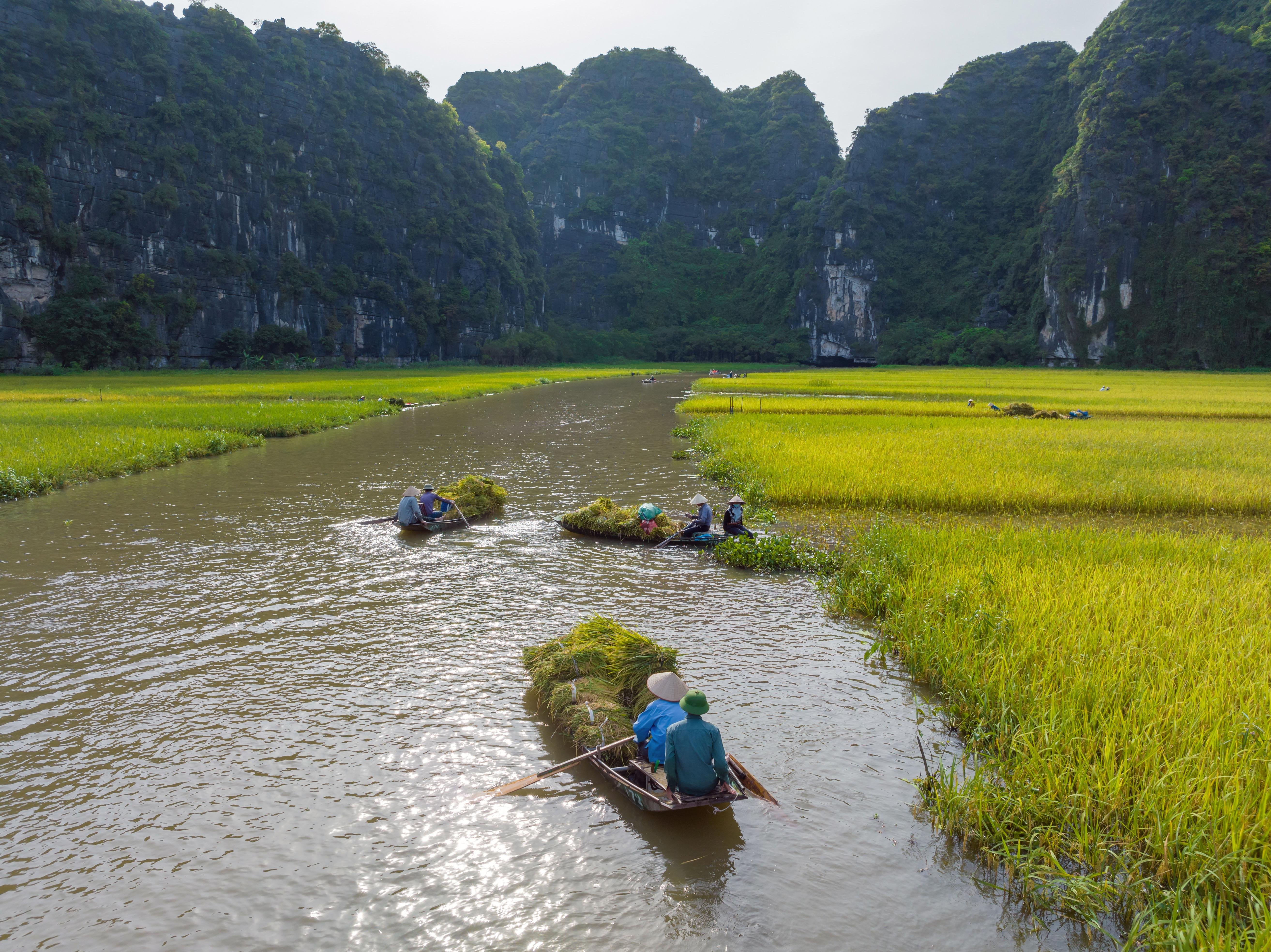 Ninh Binh Day Trip from Hanoi: Hoa Lu, Mua Cave & Boat Ride