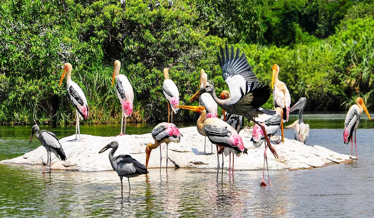 Jaipur to Agra Private Transfer via Bharatpur & Abhaneri