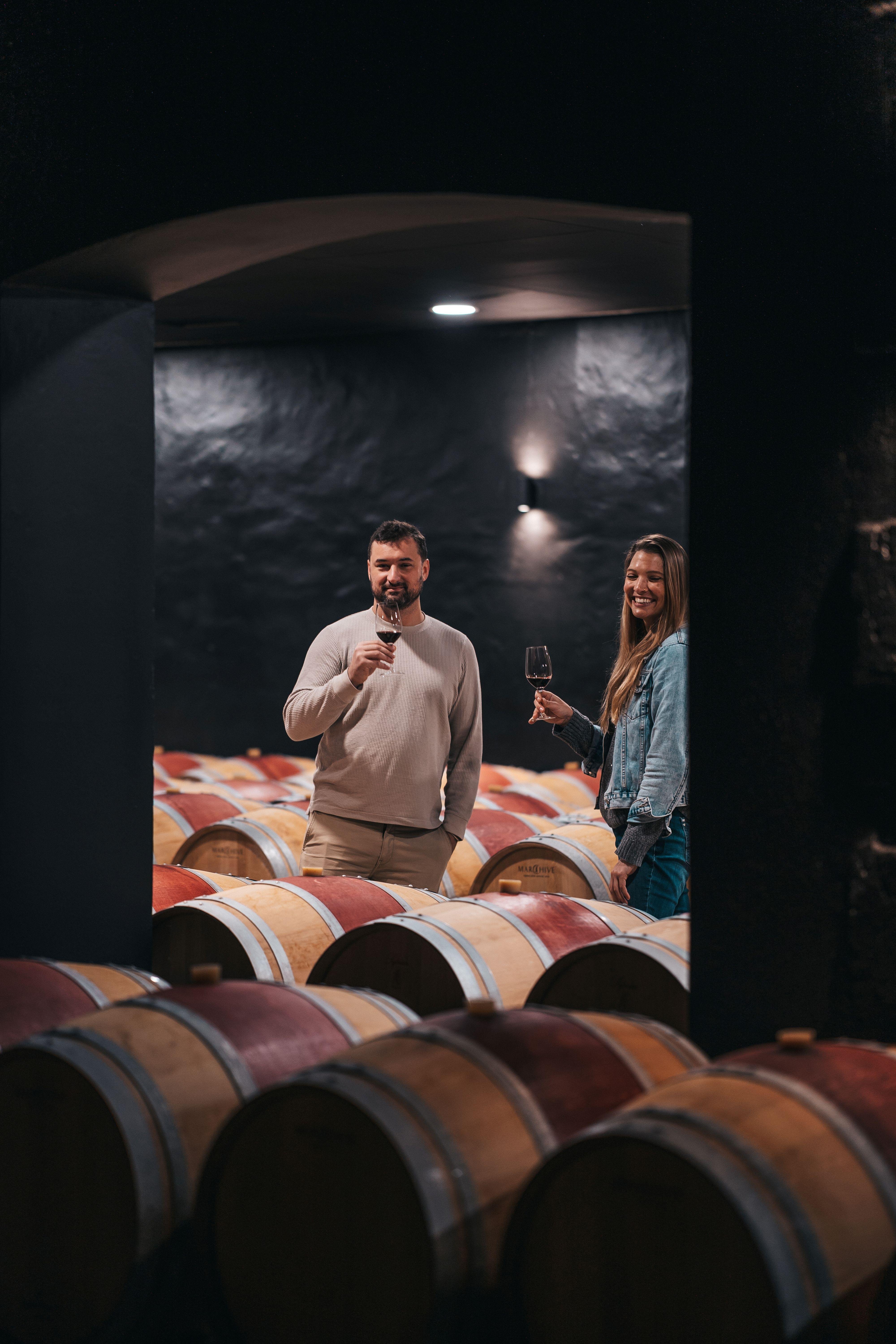 wine tour in Bordeaux — photo 9