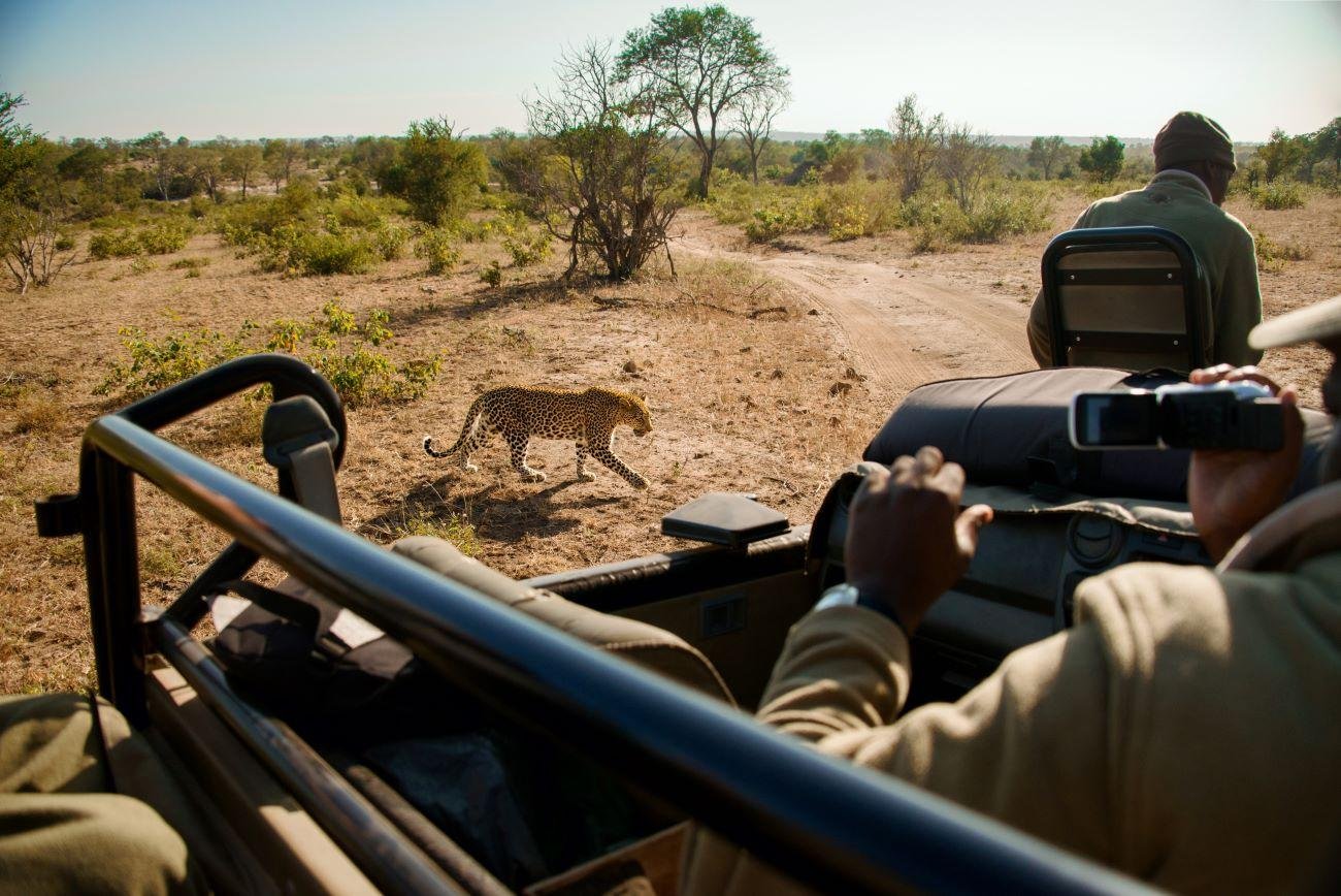 Dinokeng Big 5 Safari with Hotel Transfers
