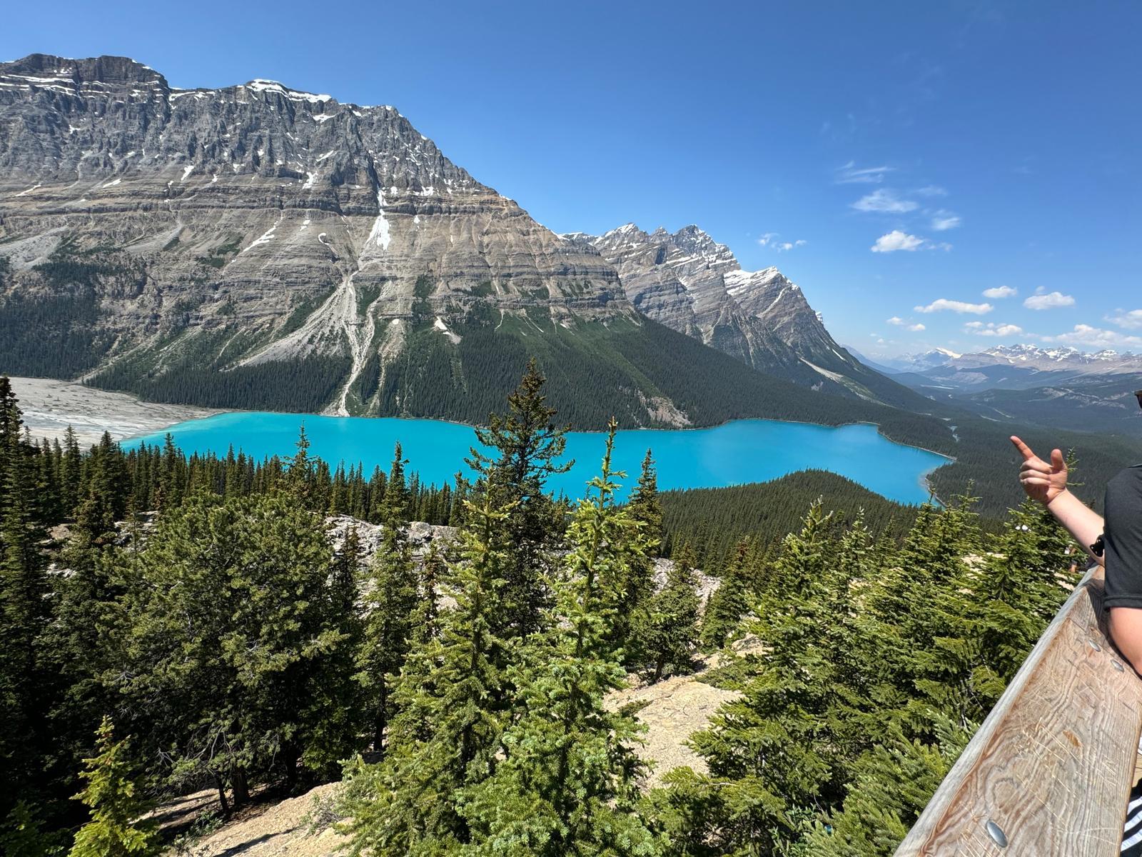 Columbia Icefield, Skywalk, Crowfoot Glacier & Lakes Tour