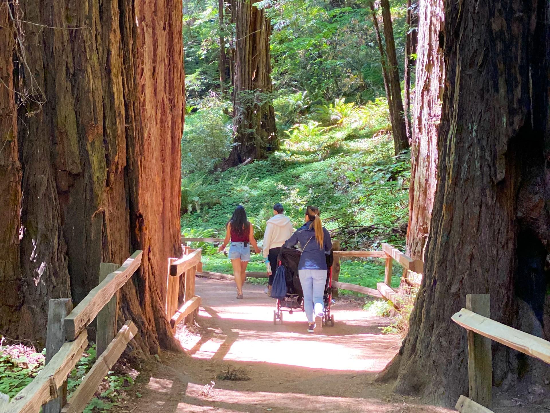 Private Muir Woods & Alcatraz Expedition (Max 6 Guests)