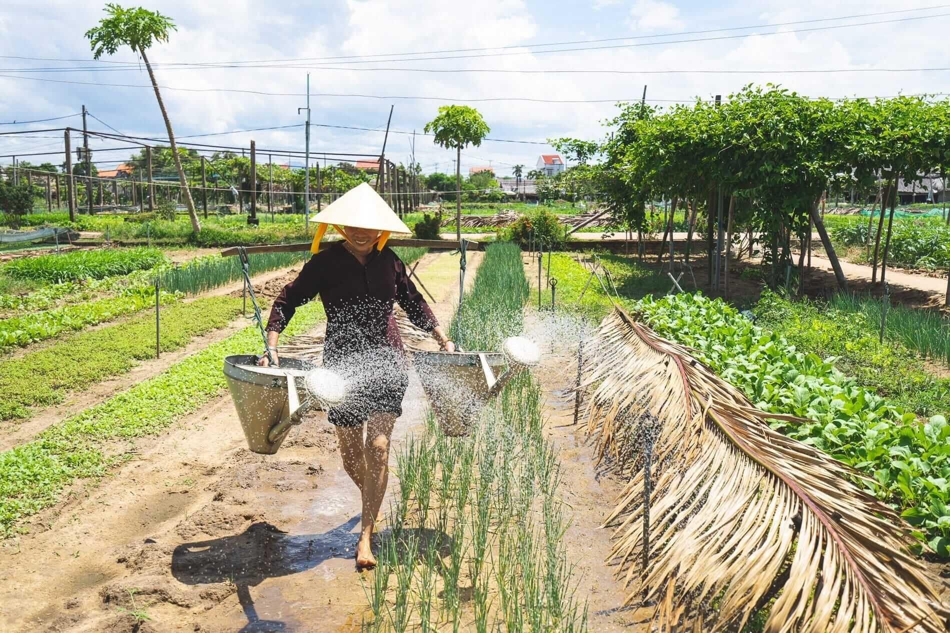 Tra Que Village Cooking Class & Countryside Bicycle Tour