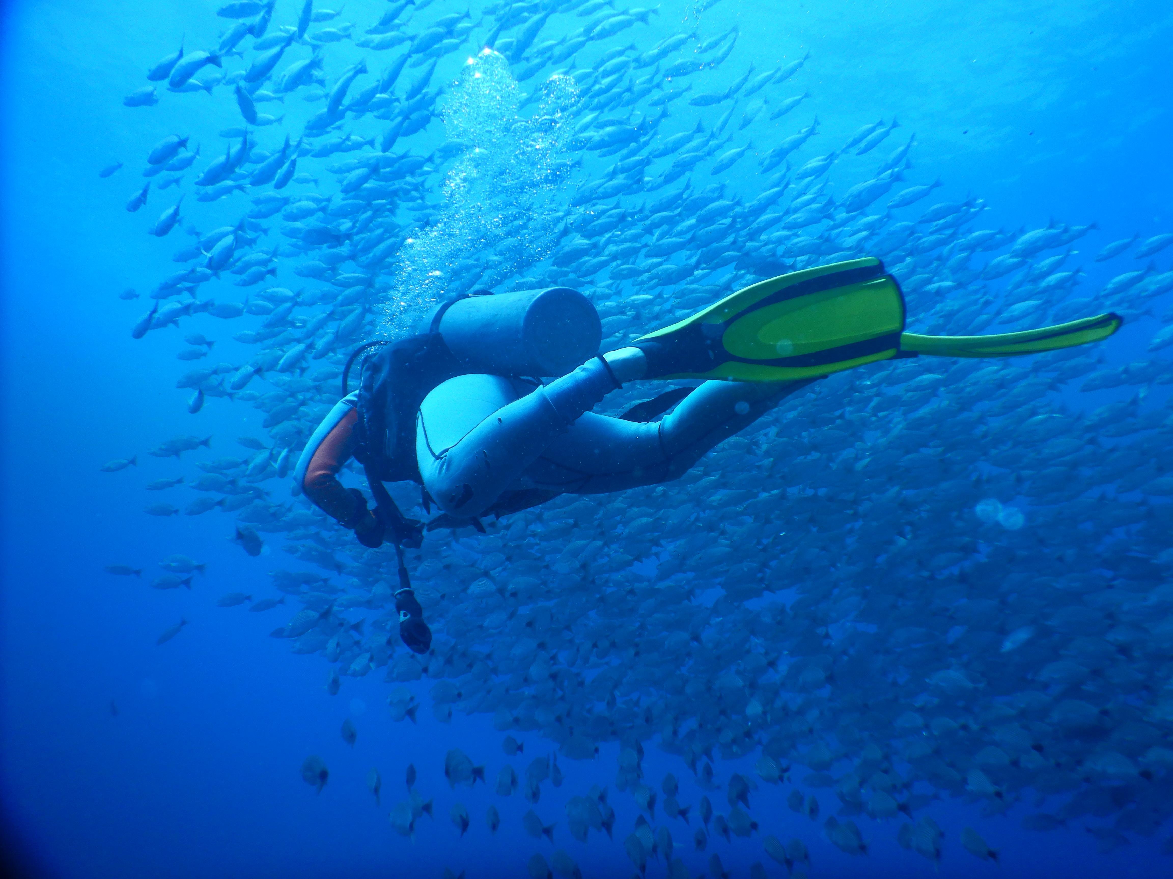 Las Catalinas Islands Introductory Scuba Diving Adventure