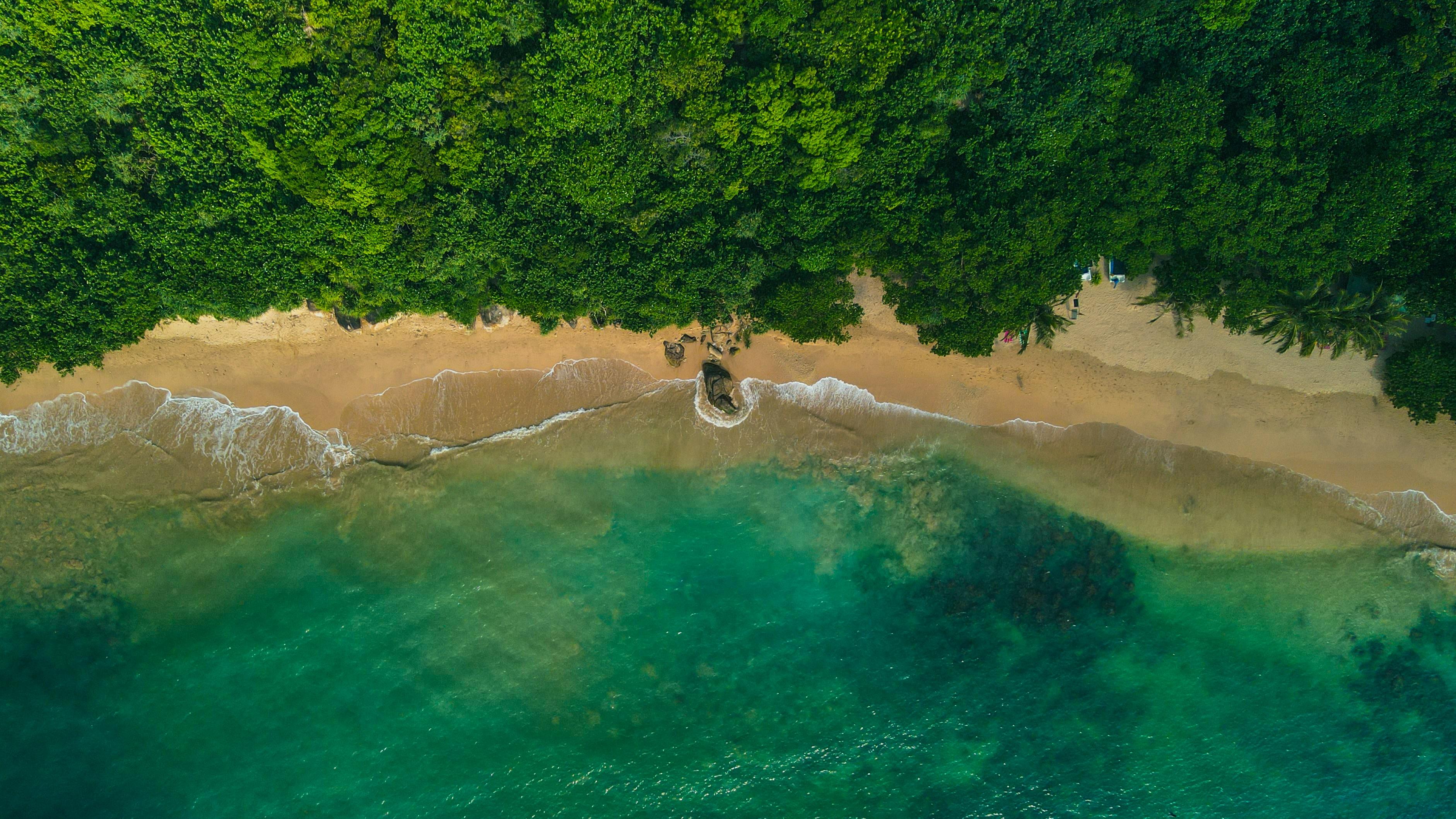 7-Day Private Sri Lanka Highlights Chauffeur Tour