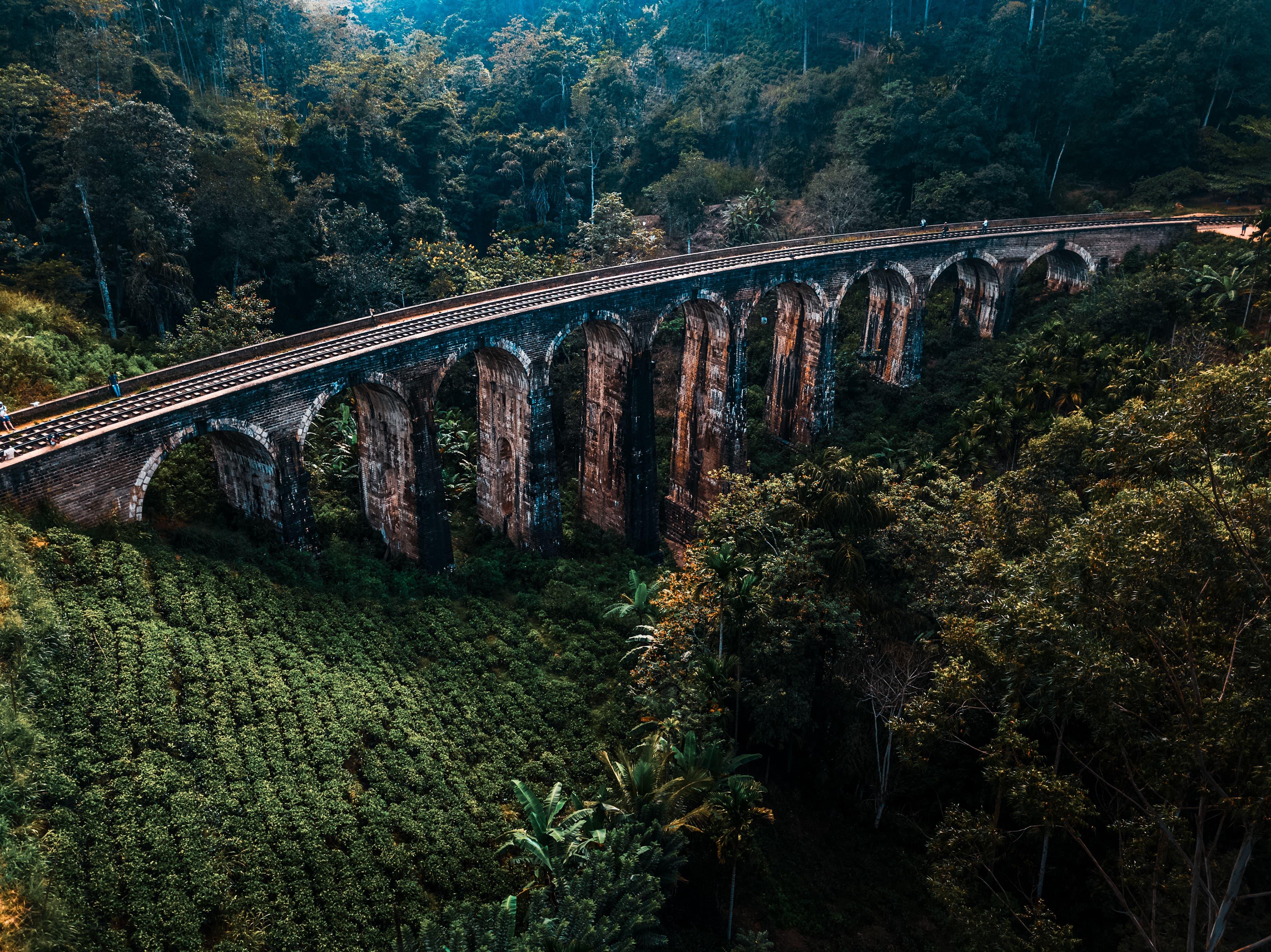 3-Day Sri Lanka Highlights: Sigiriya, Kandy & Ella Train Journey
