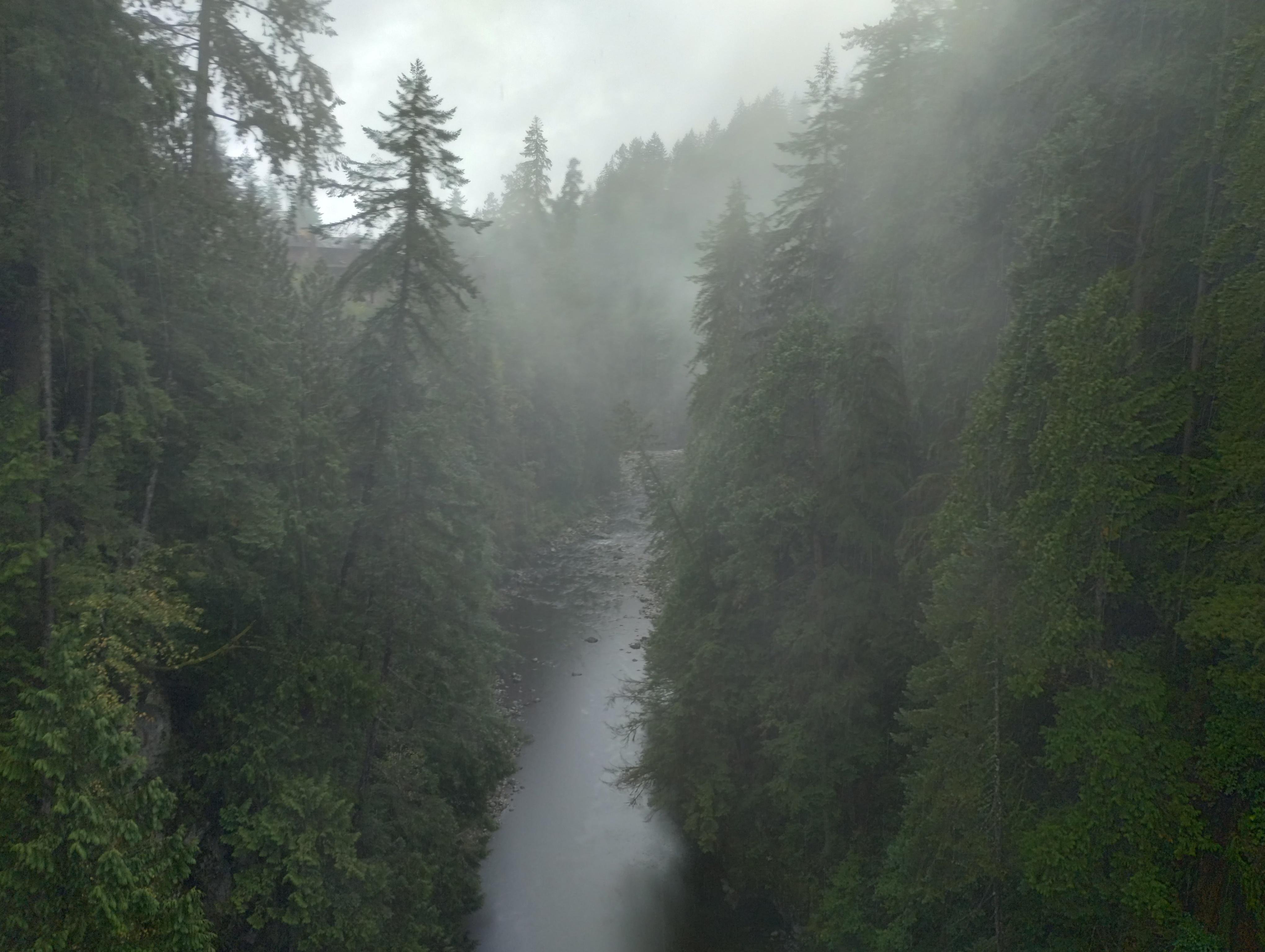 Capilano Suspension Bridge & Stanley Park Small Group Tour
