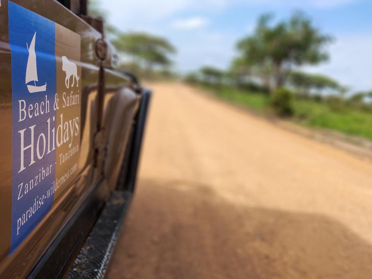 Zanzibar to Selous: Full-Day Safari with Bush Lunch (+ 2-Day Option)