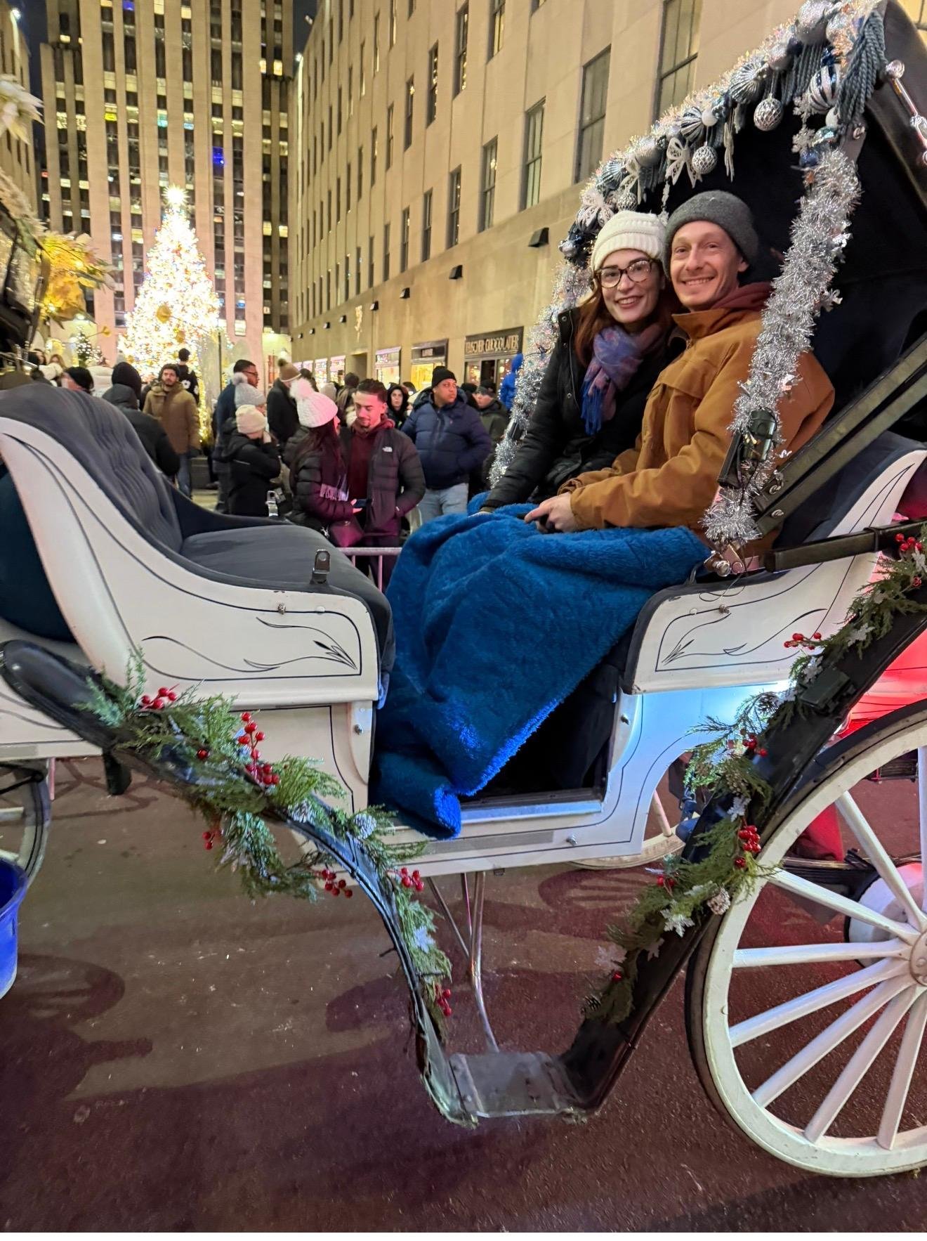 Private Central Park Horse Carriage Tour with Guide