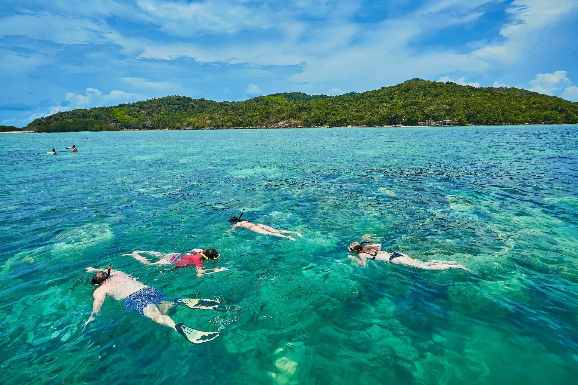 Pig Island & Koh Tan Snorkeling Express