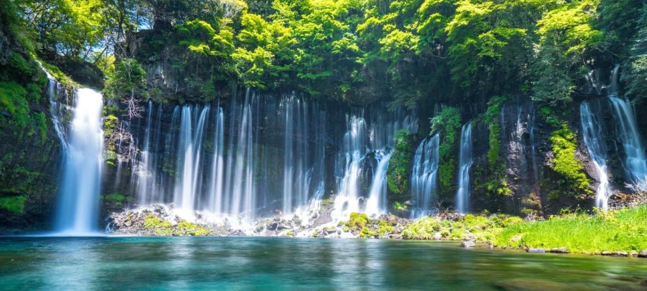 Customizable Mount Fuji Private Day Trip from Tokyo