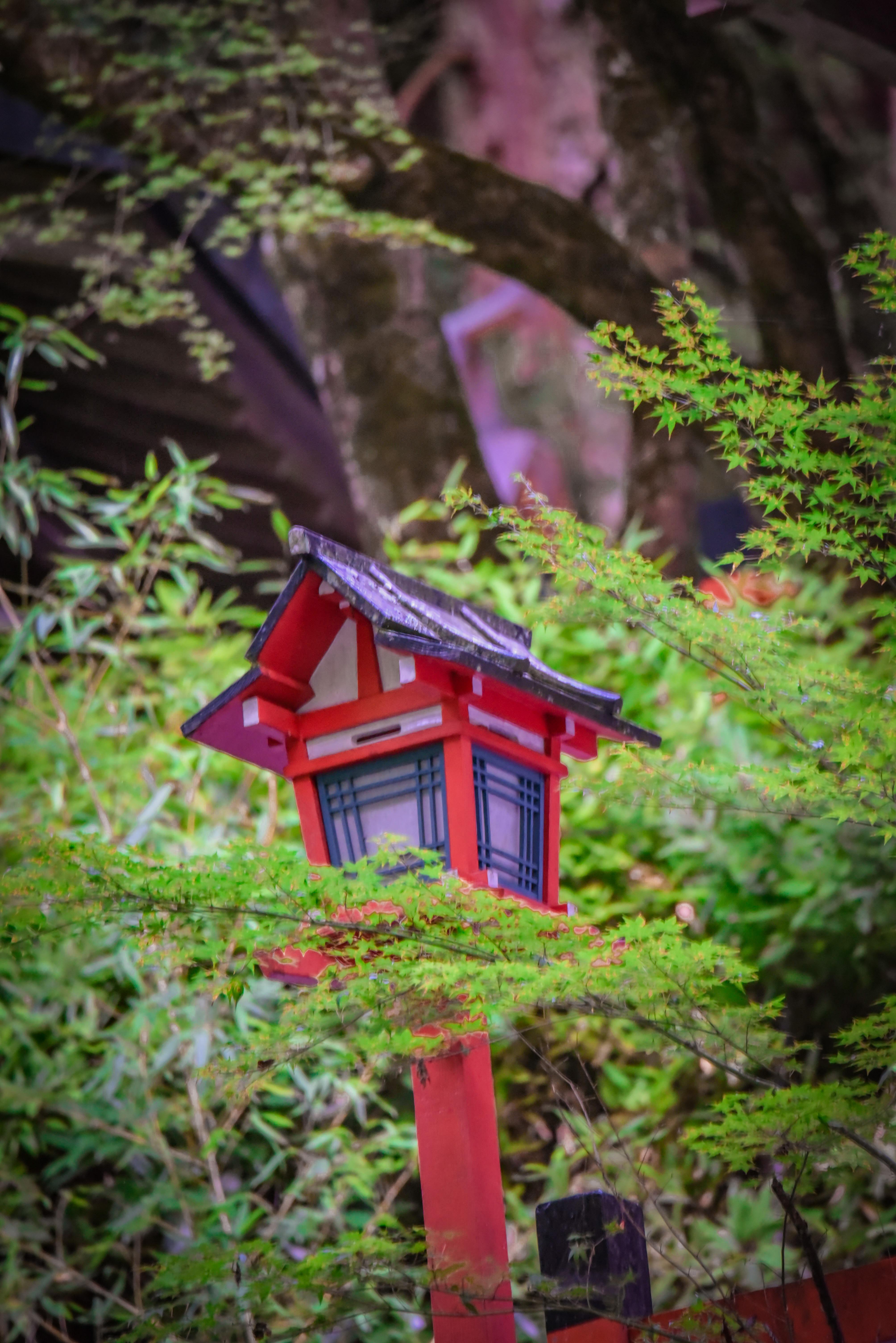 Kyoto Private Day Tour with Guide & Vehicle