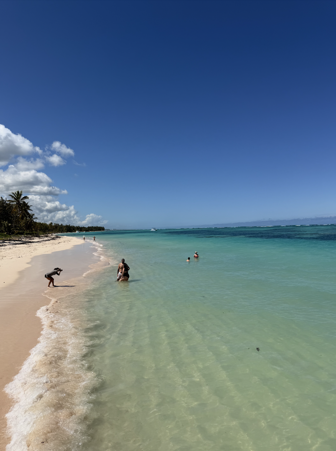 Punta Cana Catamaran & Reef Snorkel with Open Bar