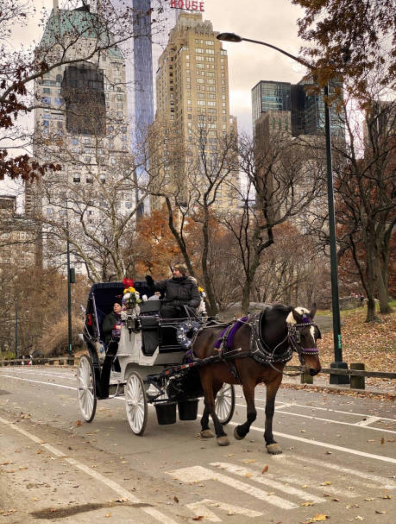Private Central Park Horse Carriage Tour with Guide