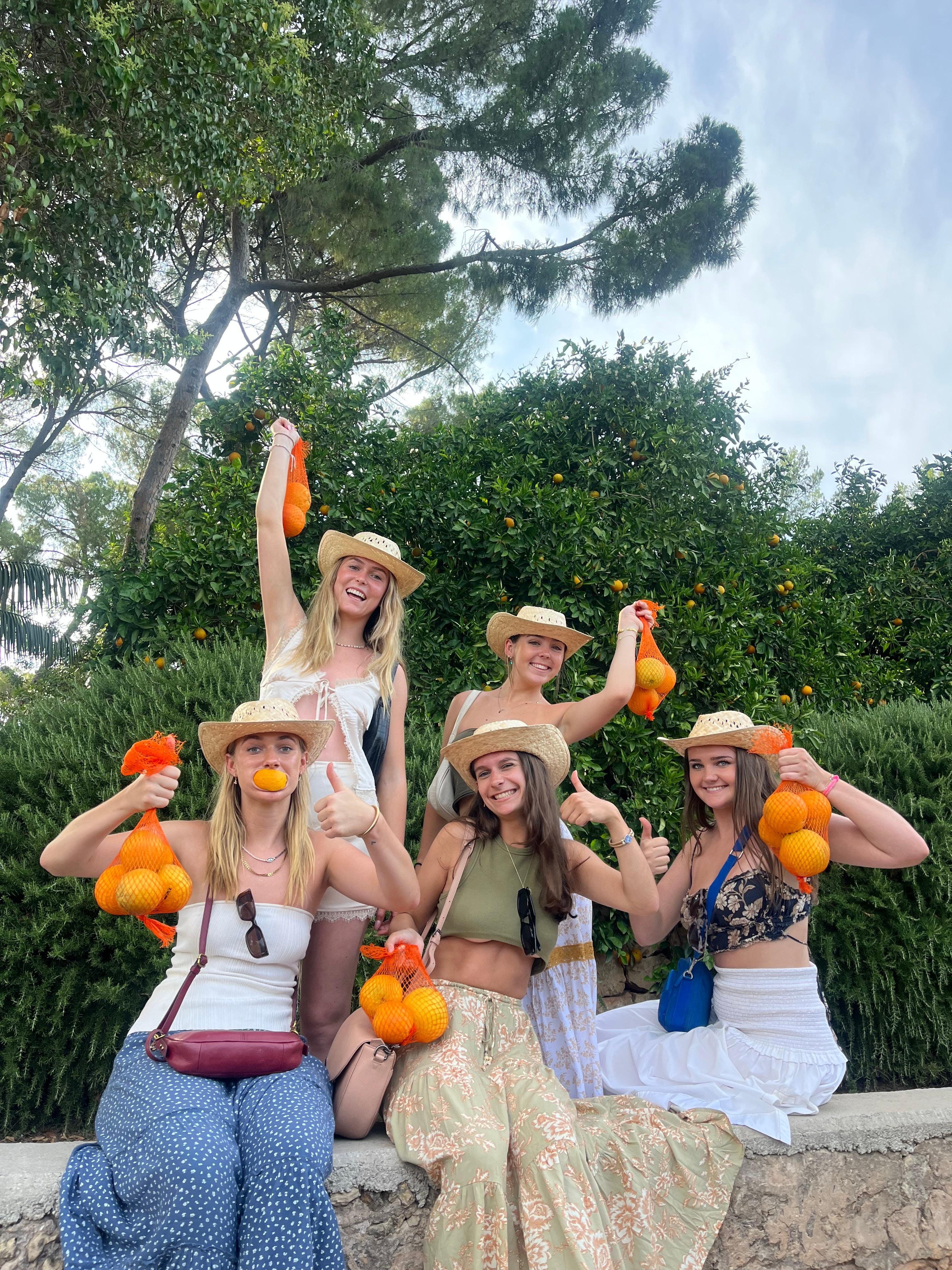 Valencia Orange Orchard & Farm Experience