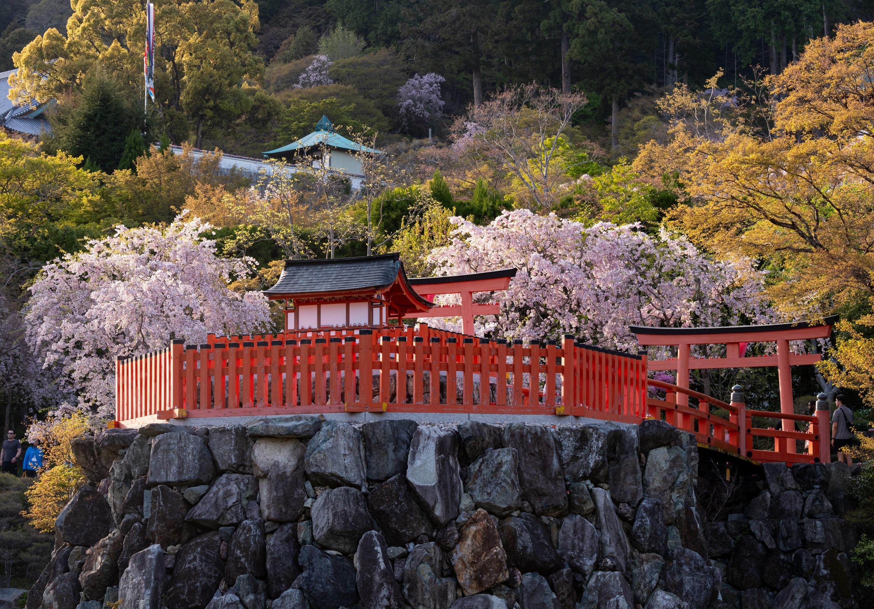Osaka: Katsuoji Temple Half-Day Guided Tour