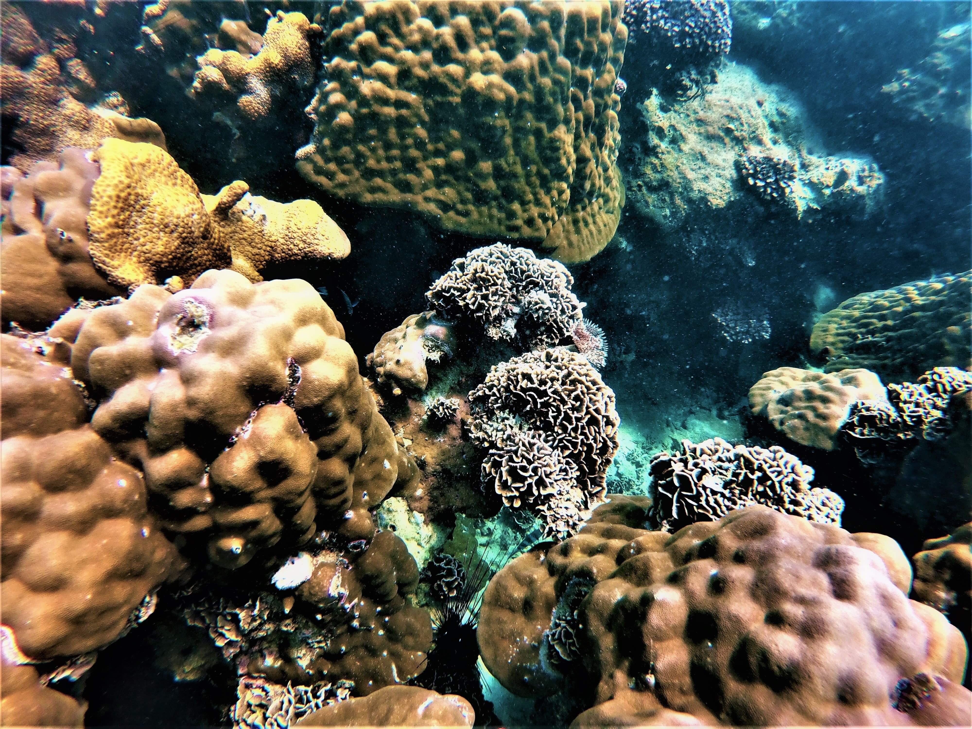 Pattaya: Full-Day Yacht Cruise to Koh Phai and Koh Rin