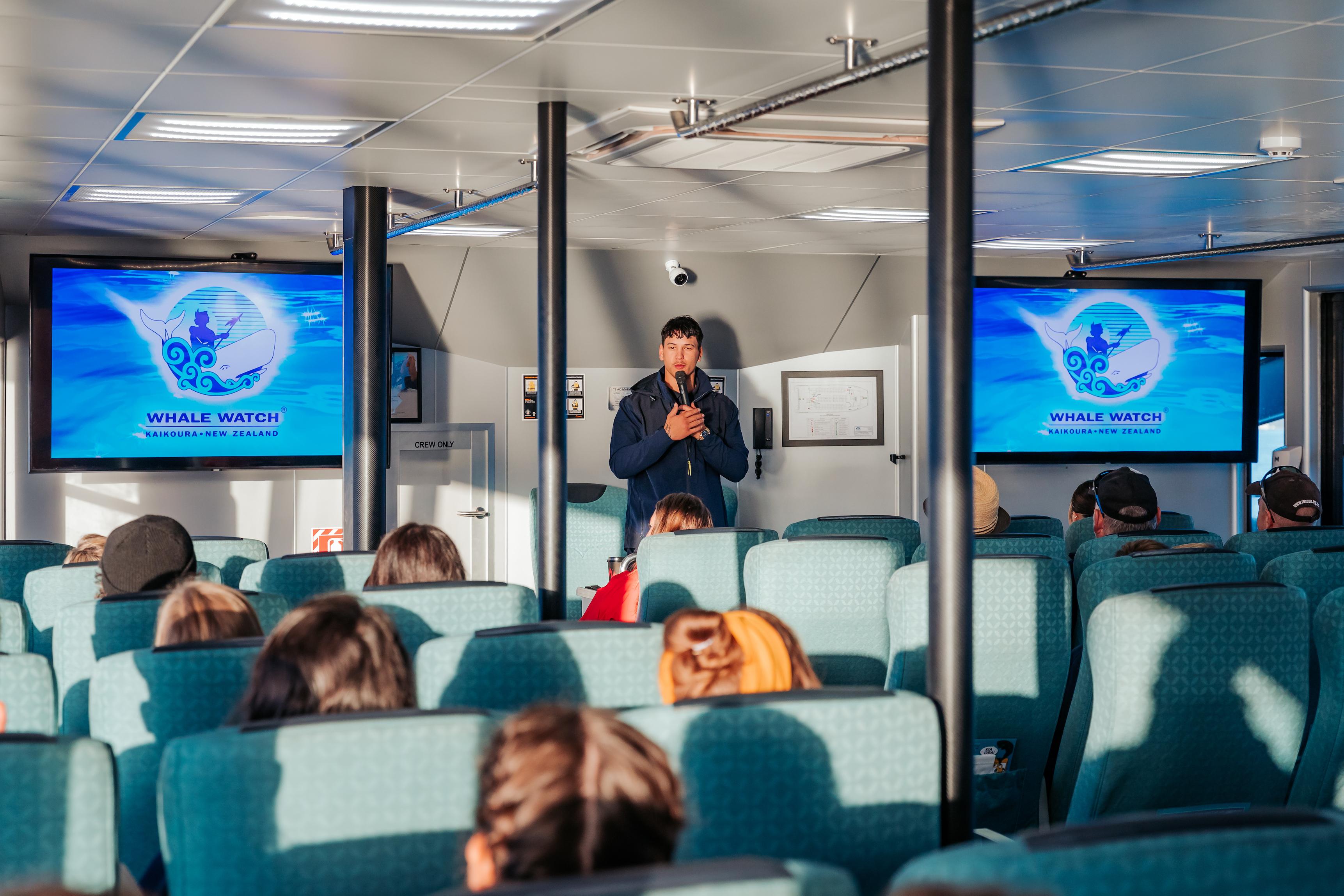 South Island guided tour photo — image 1