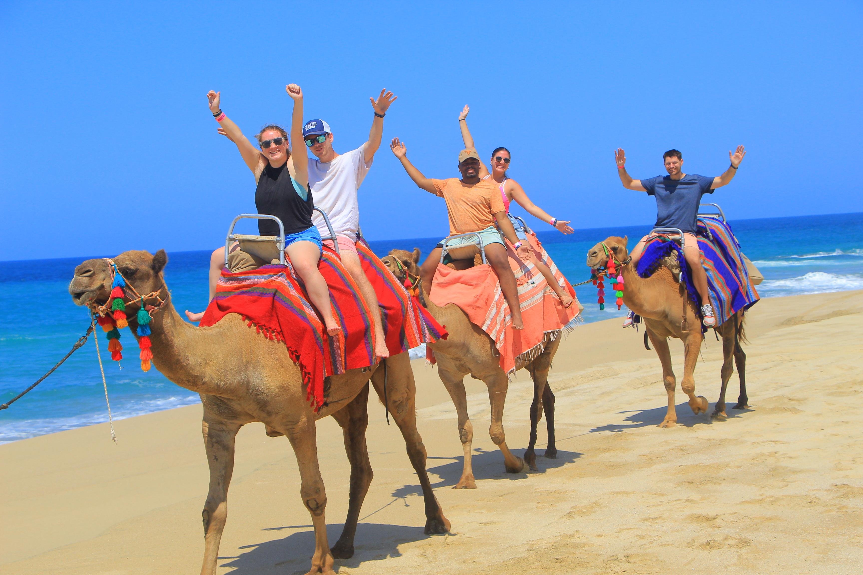 Cabo Beach ATV & Camel Ride Combo – Cactus Tours Park