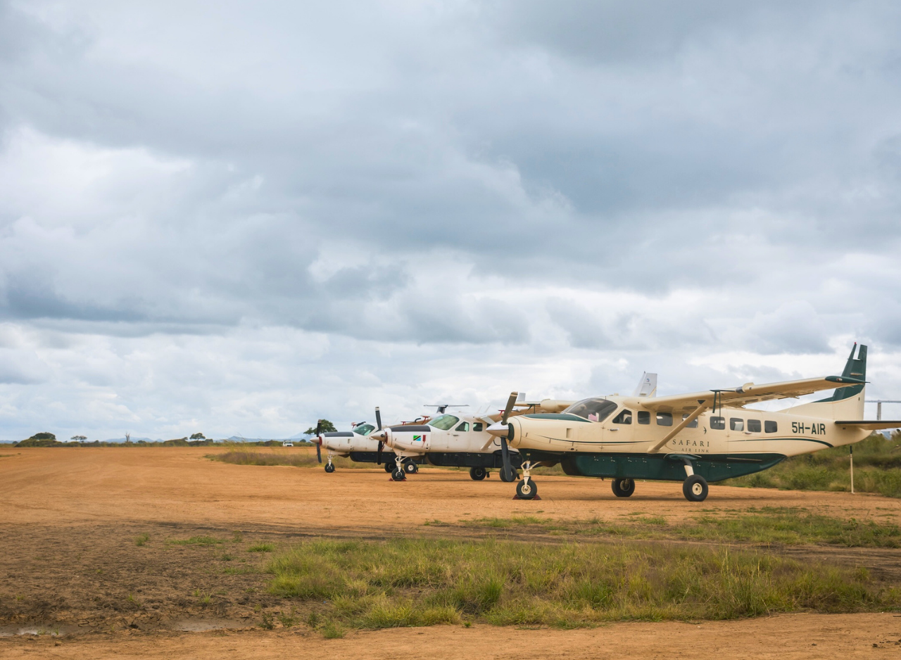 Zanzibar to Mikumi: Fly-In Safari Day Trip by Twin-Engine Plane