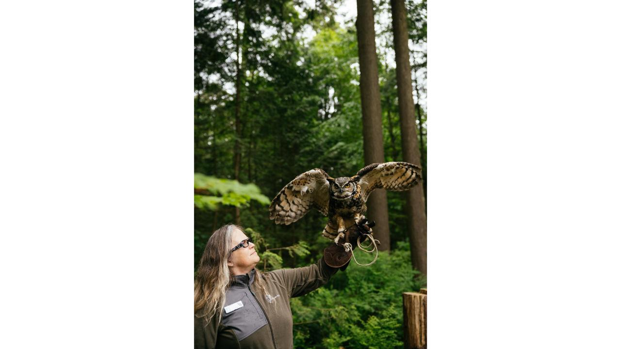 Capilano Suspension Bridge Park Entry