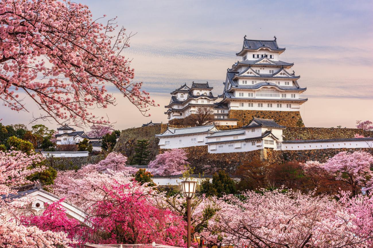 Private Himeji Castle, Mount Shosha & Kobe Day Tour