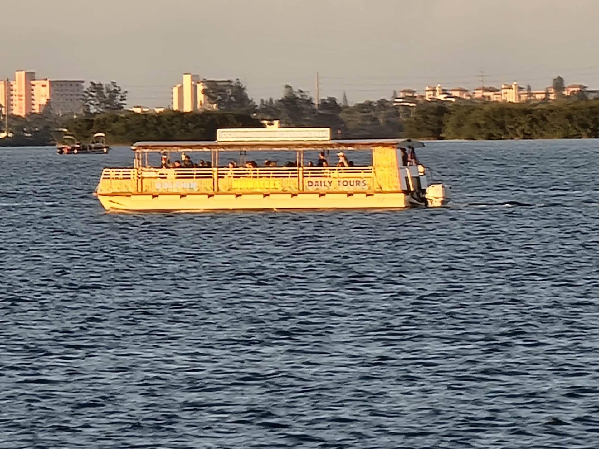 Cocoa Beach Dolphin & Wildlife Pontoon Cruise